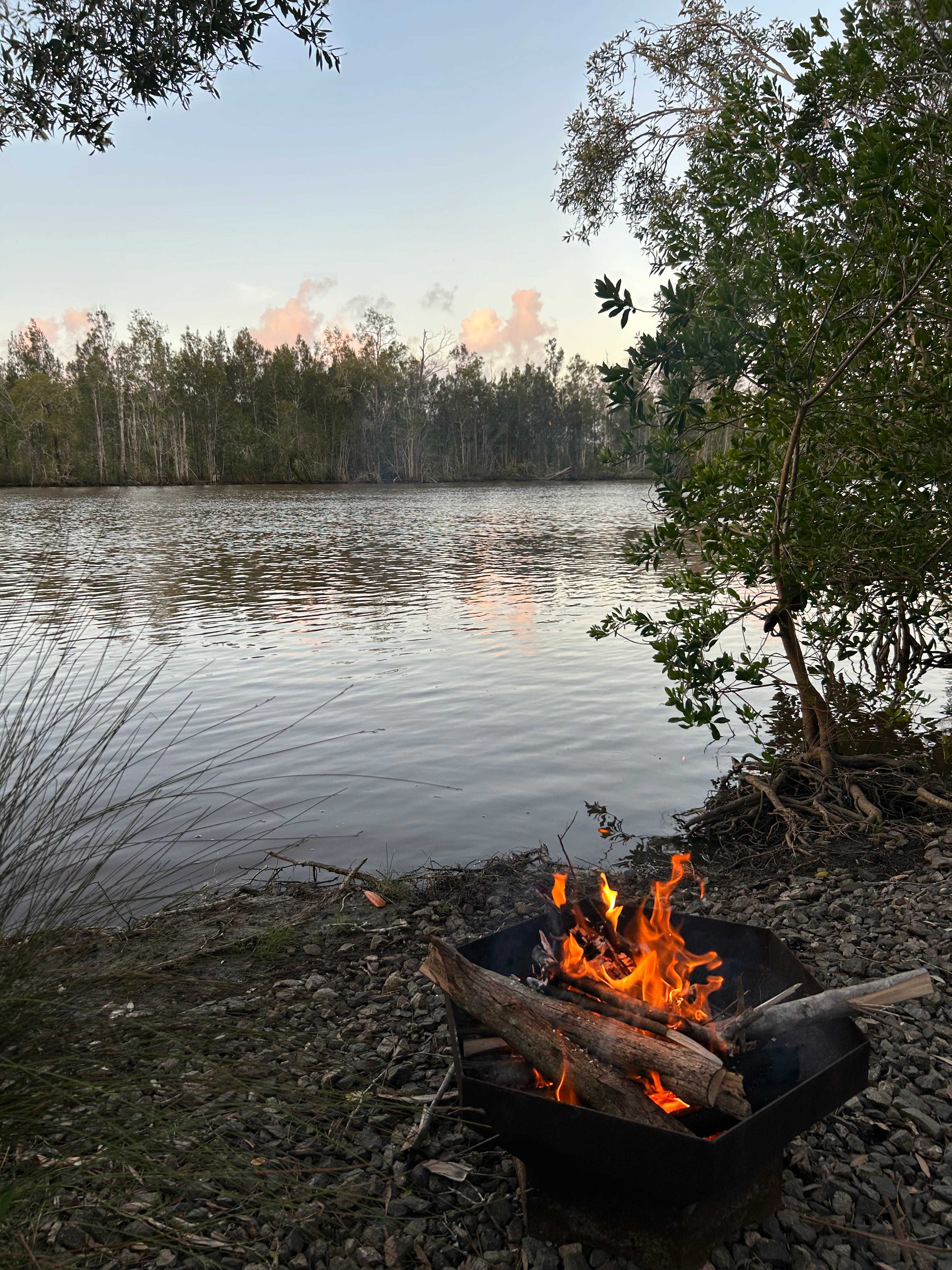 Noosa River Camping at Cooroibah