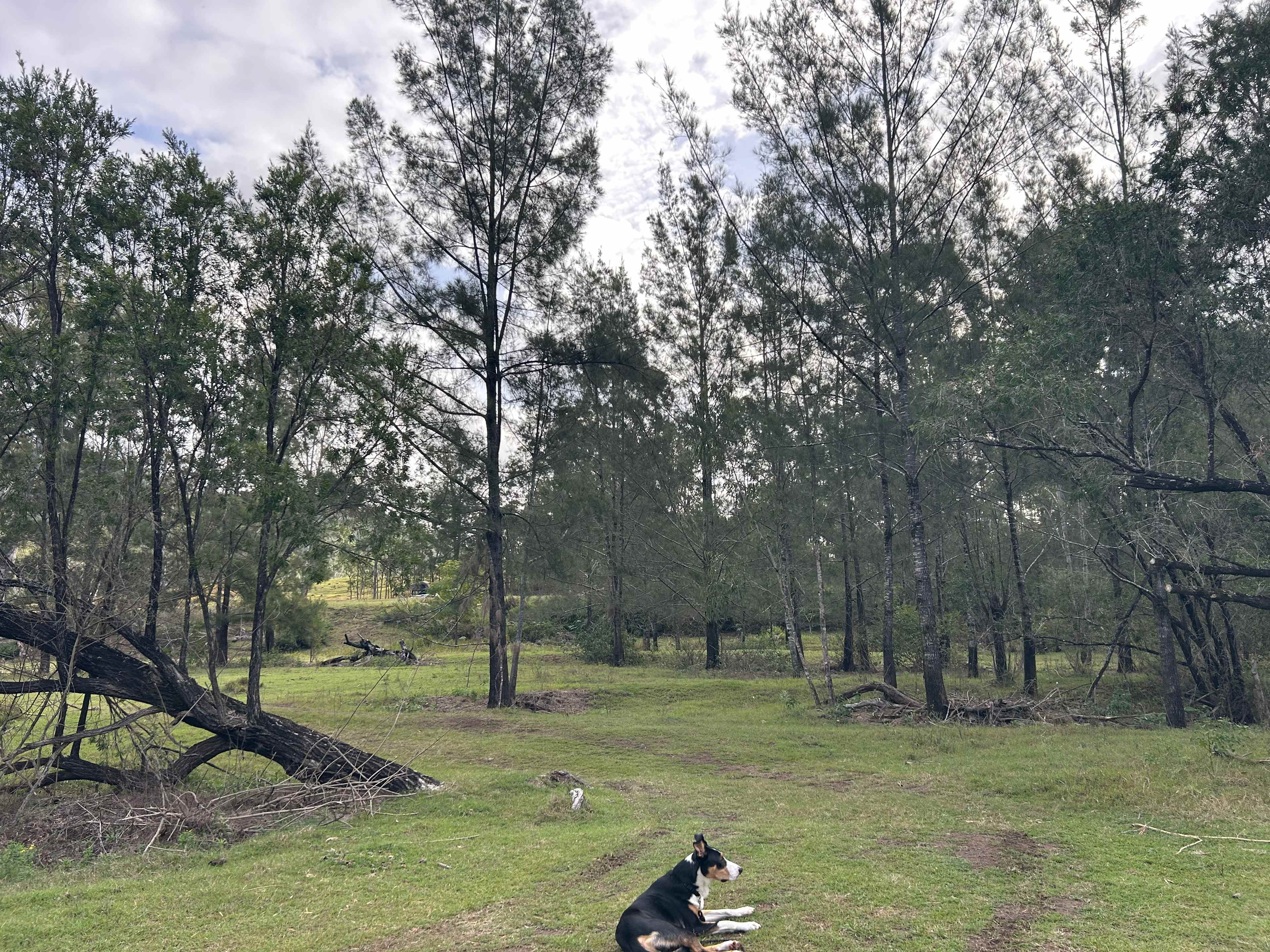 On the Clarence Camping