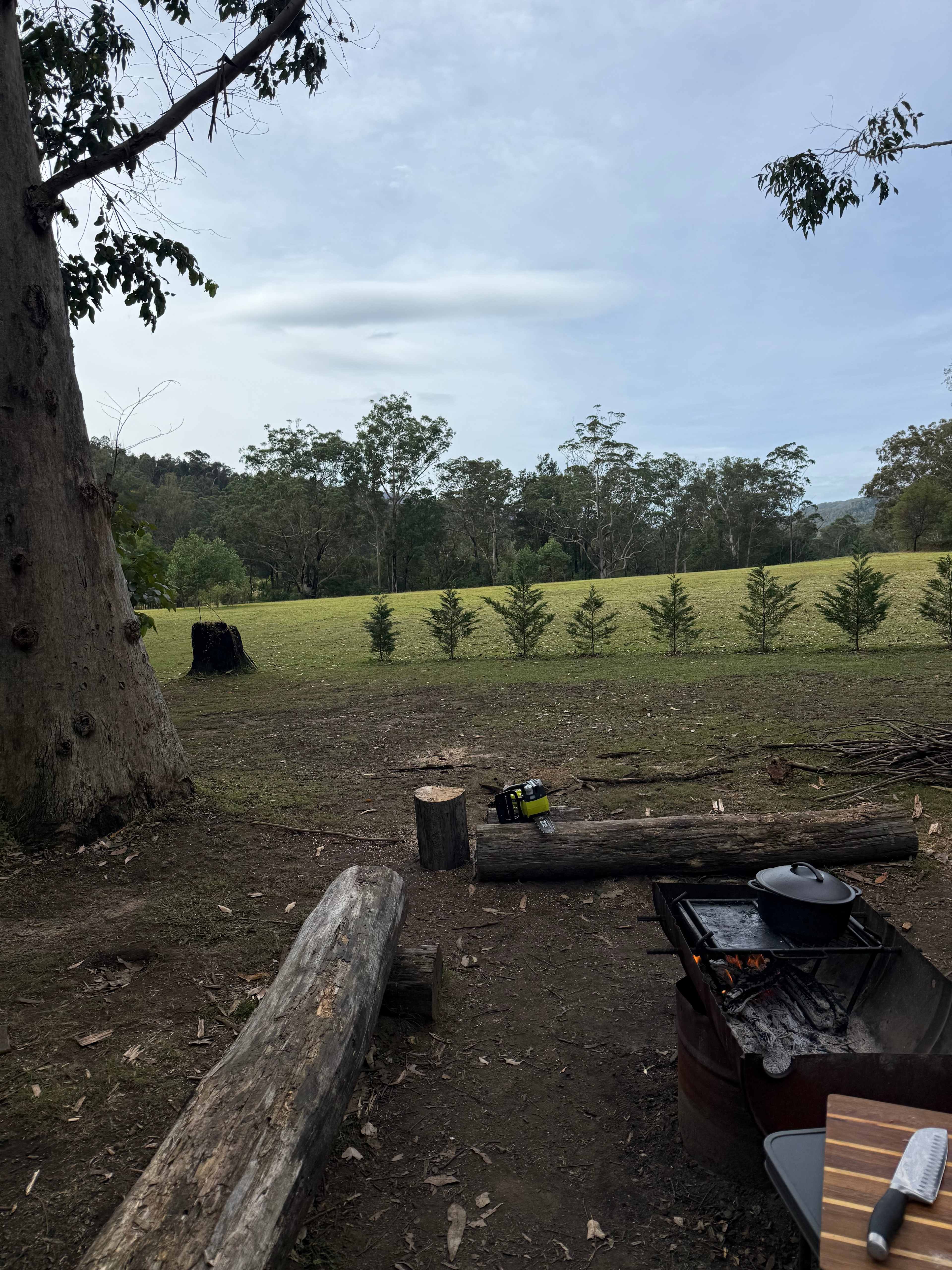 Wombat Hollow
