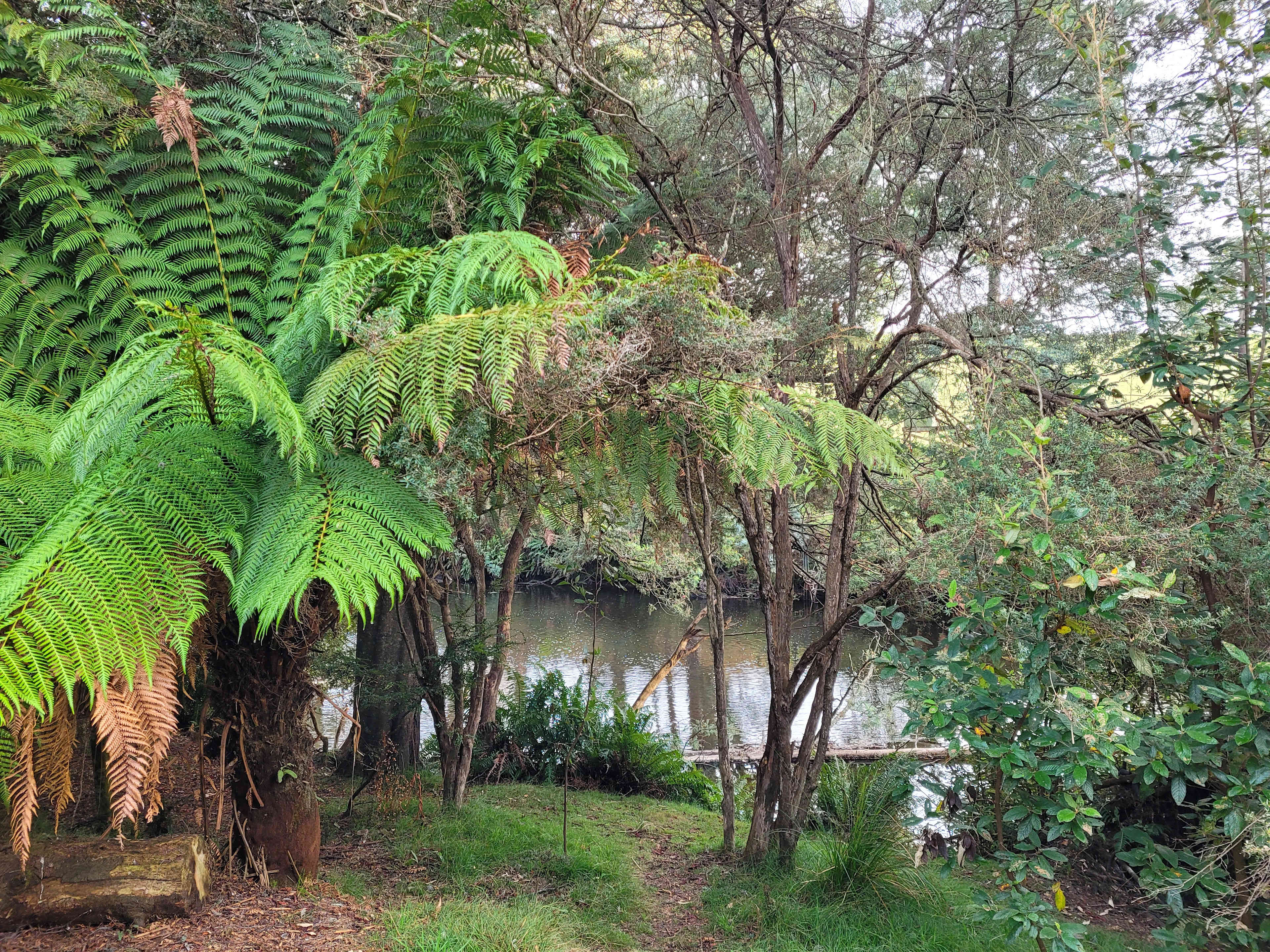Dragon River Campground & Sauna