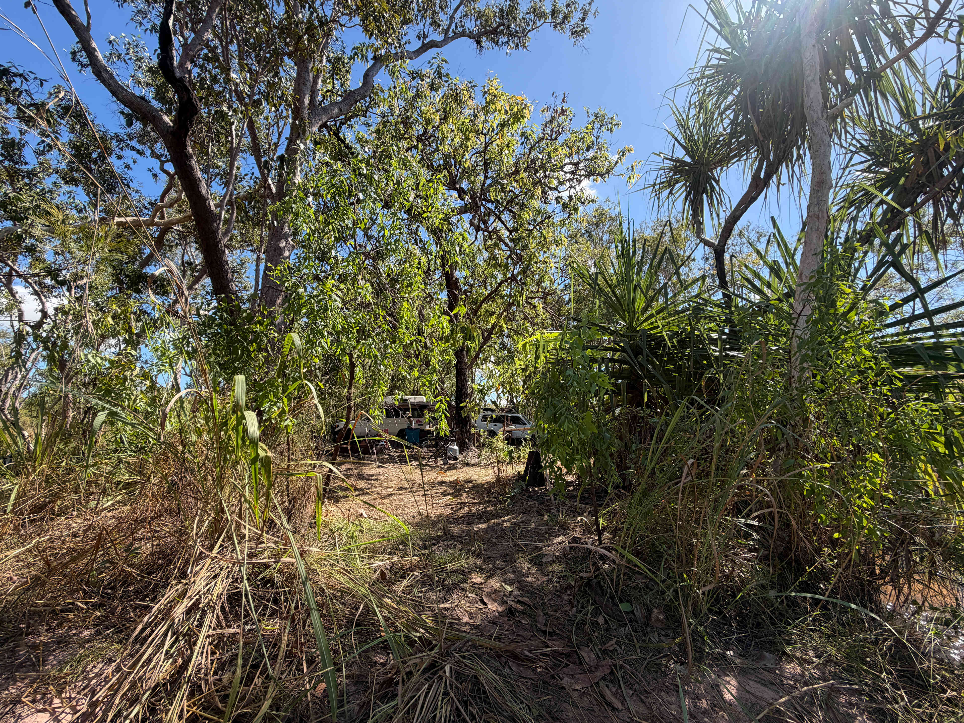 Anniversary Ridge Wilderness Park