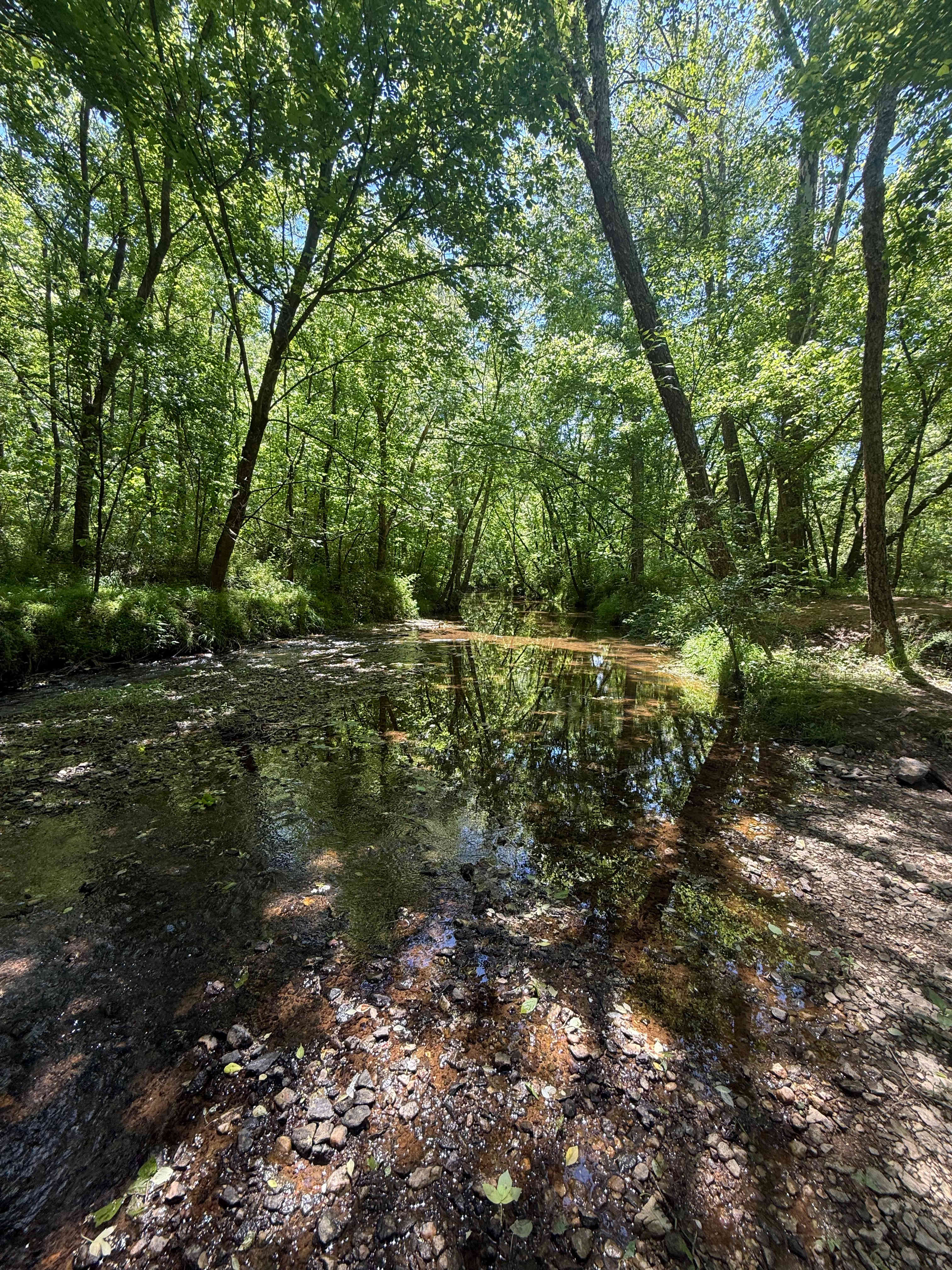 The Oasis at Harmon Creek Farms
