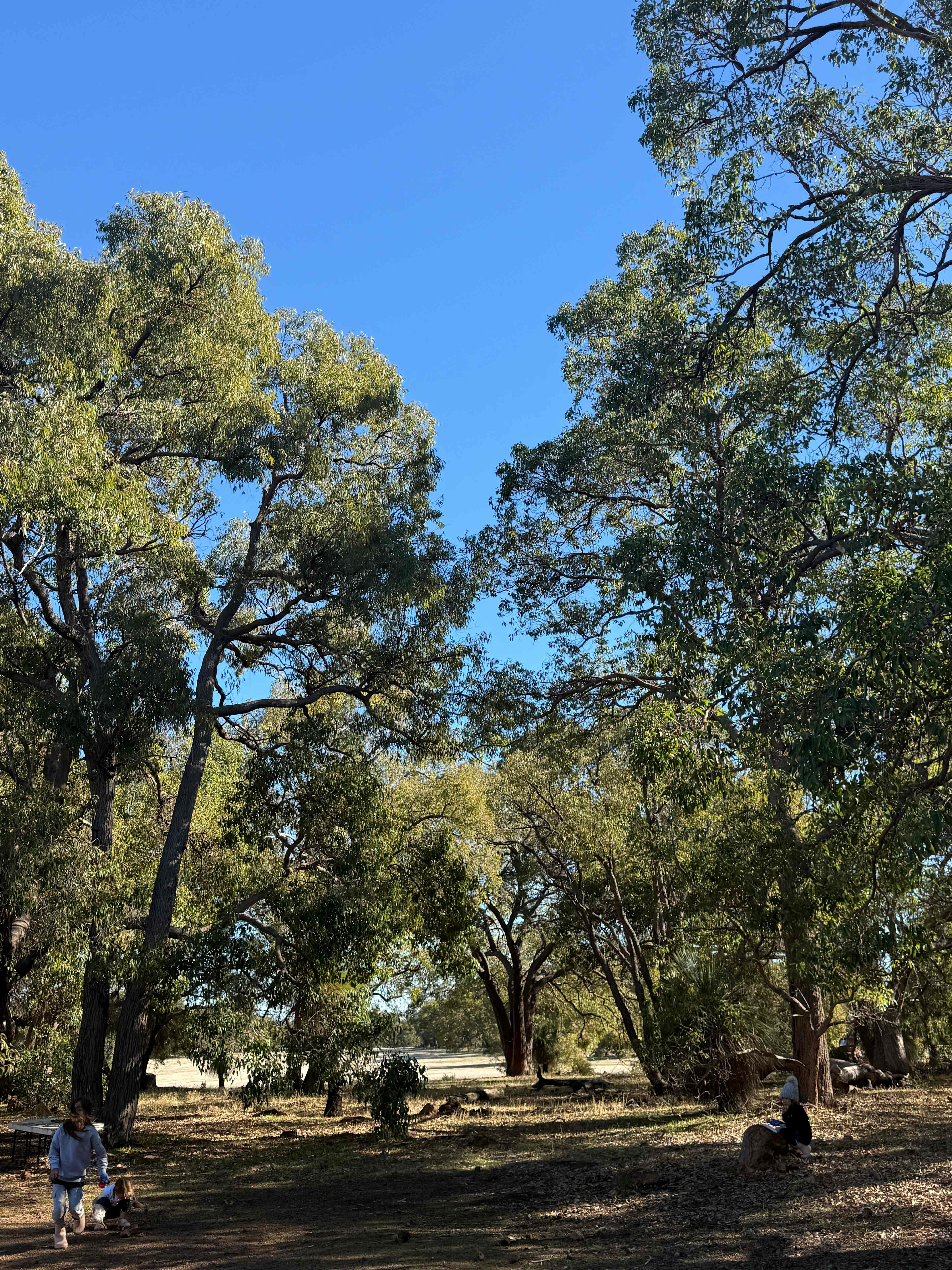 Chittering Acres