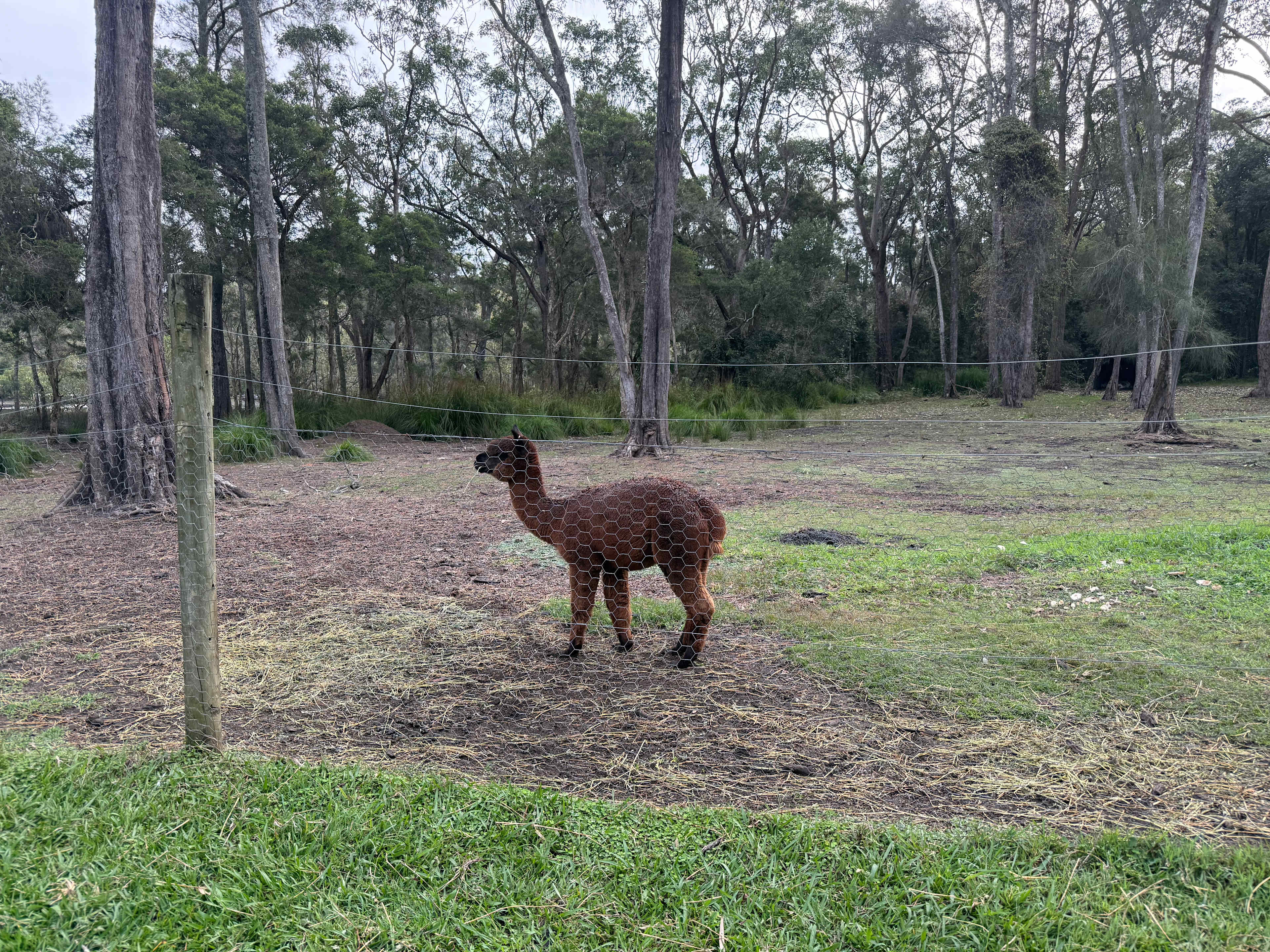 Riverside Farm Stay