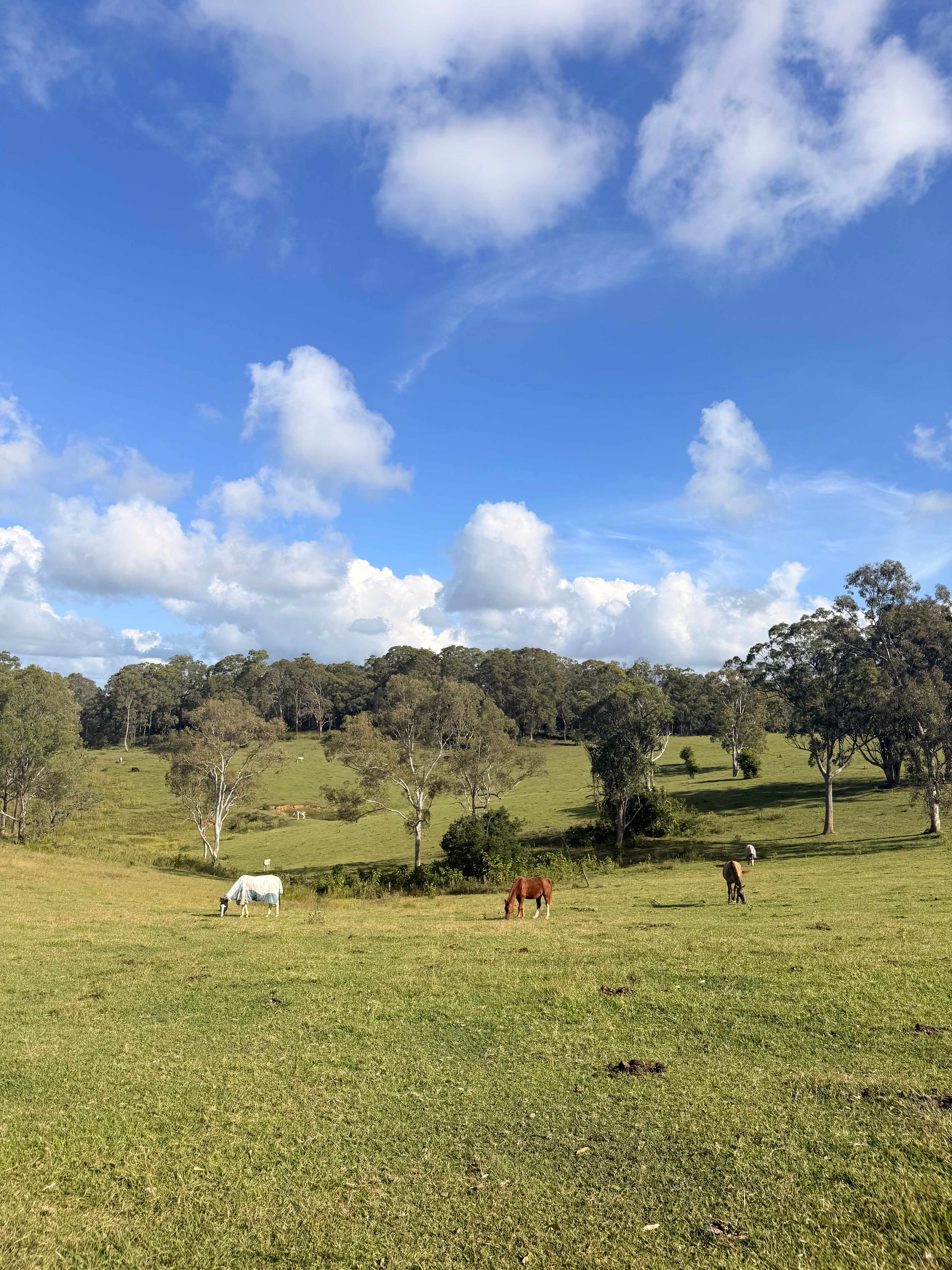 Rangetop Farm