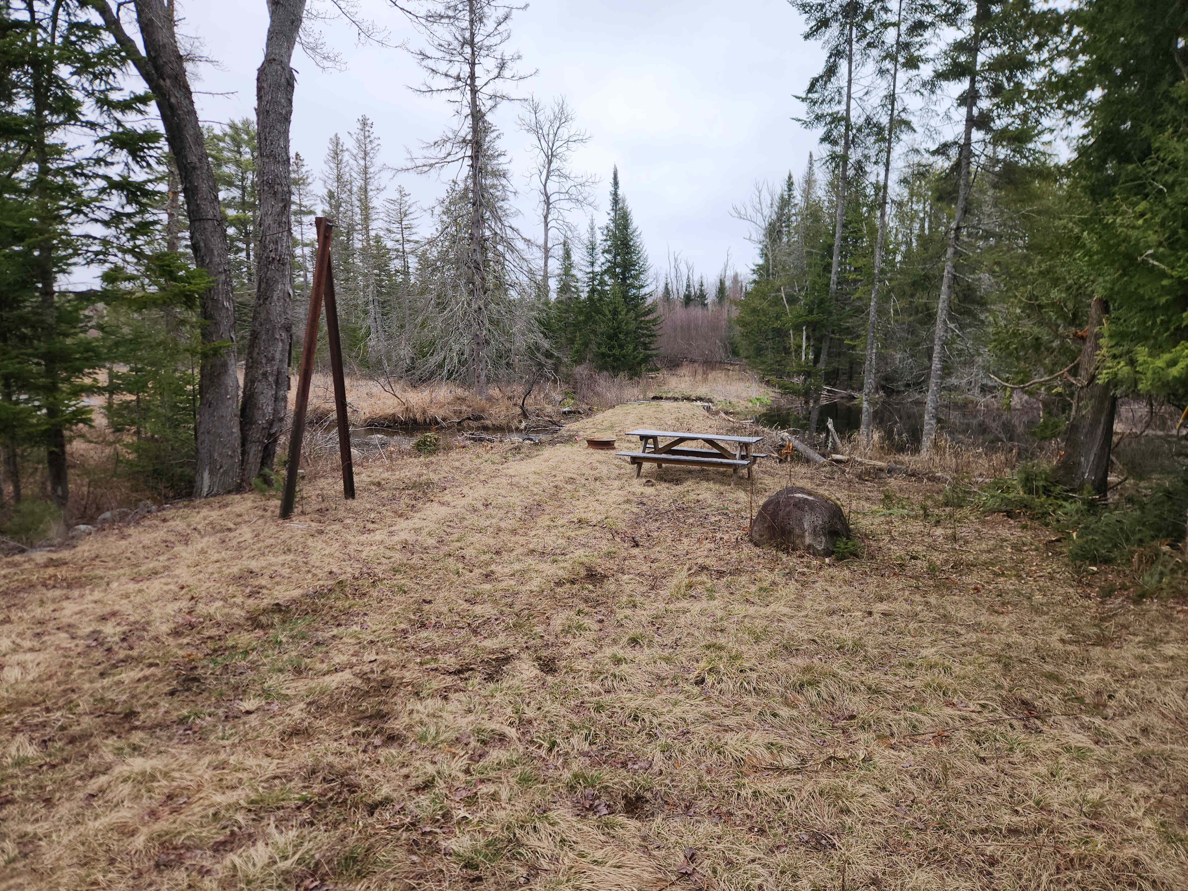 Picture of the site
