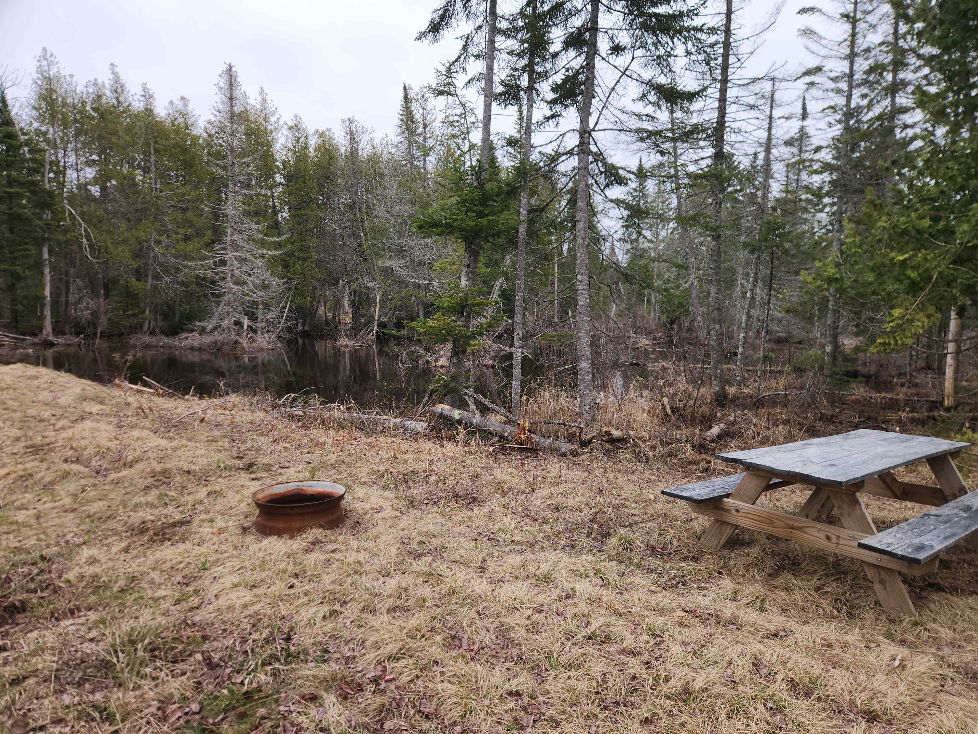 Picture of the site