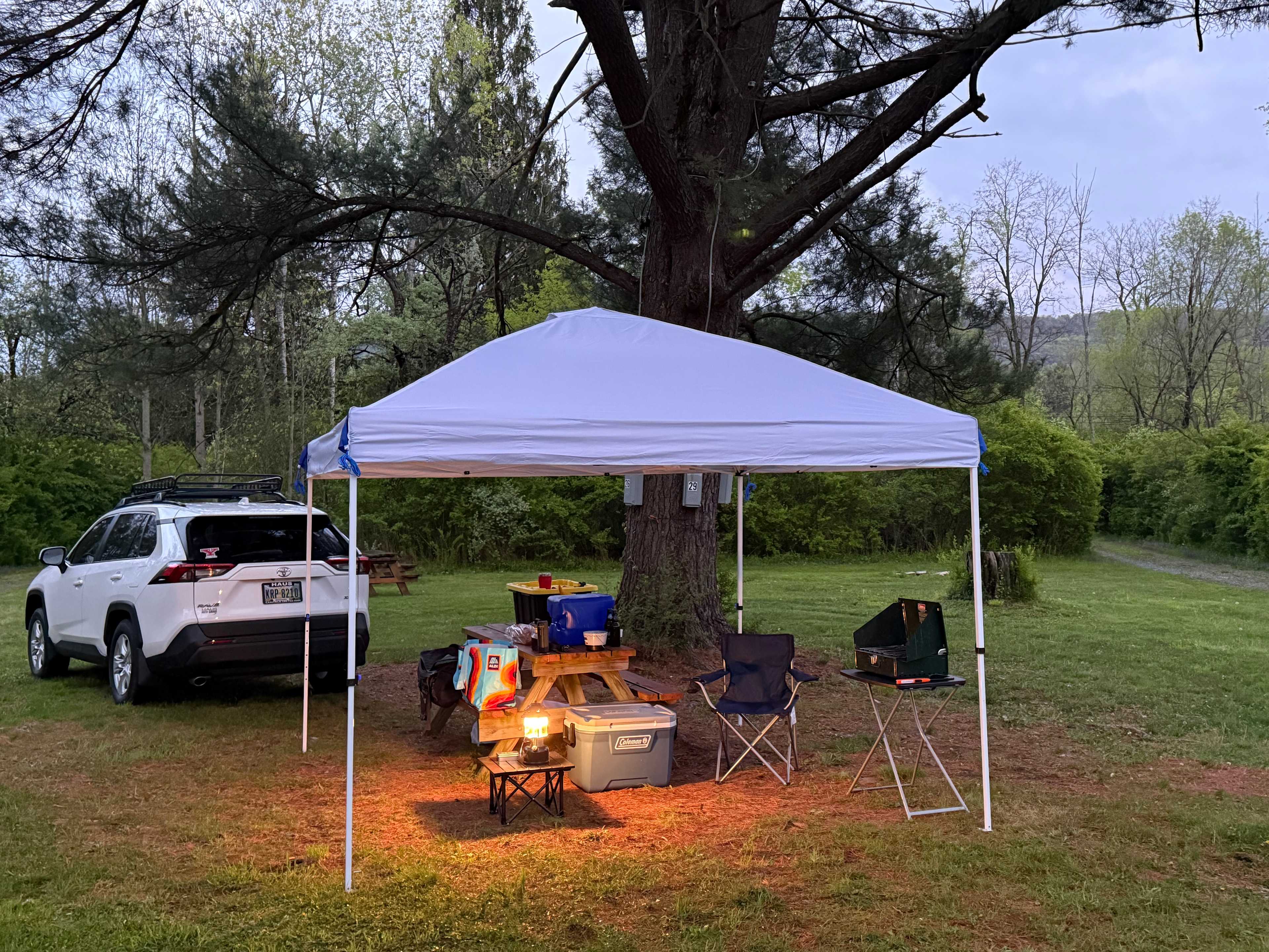 Bald Eagle Campsite