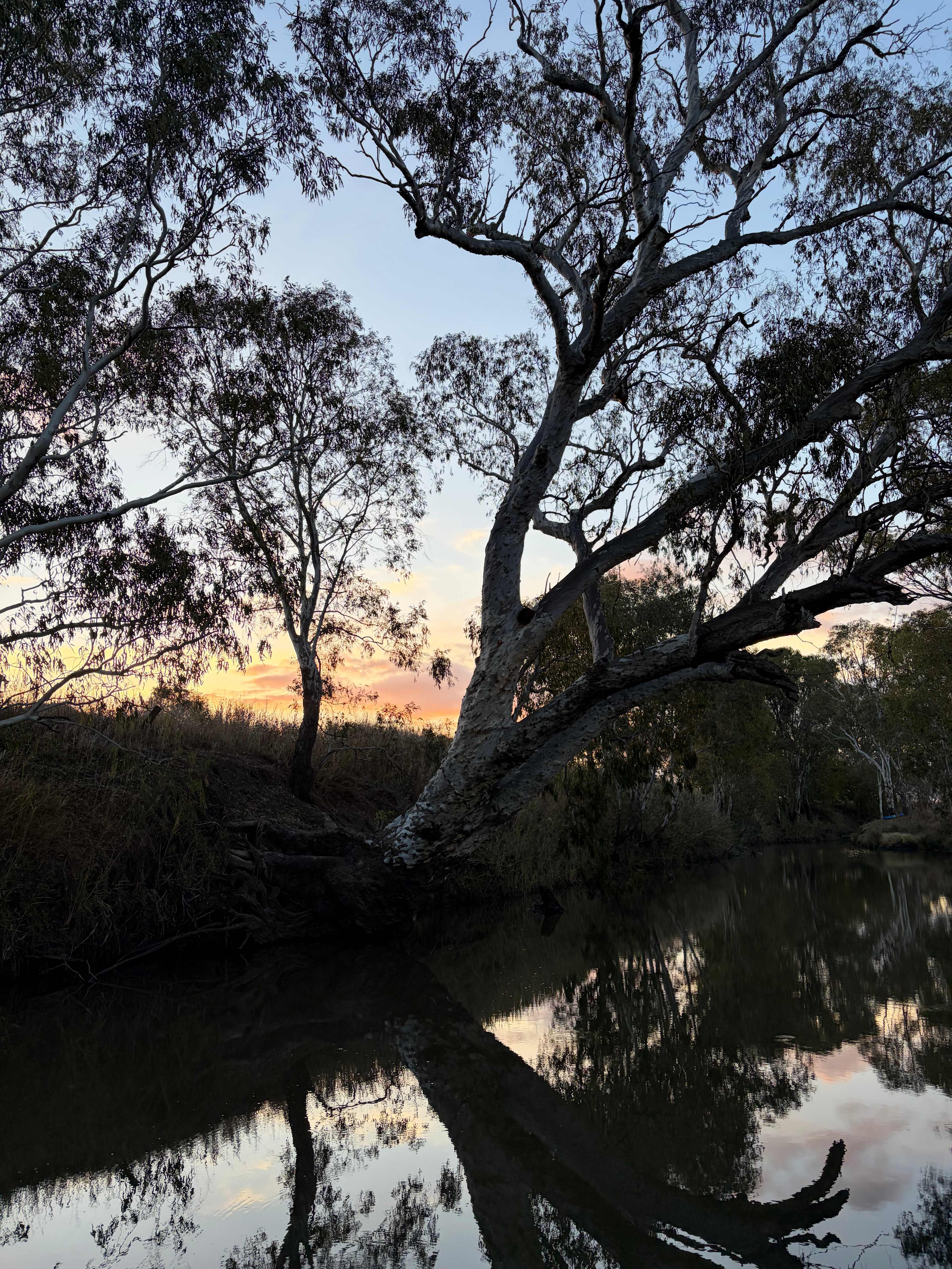 Warrego Farm