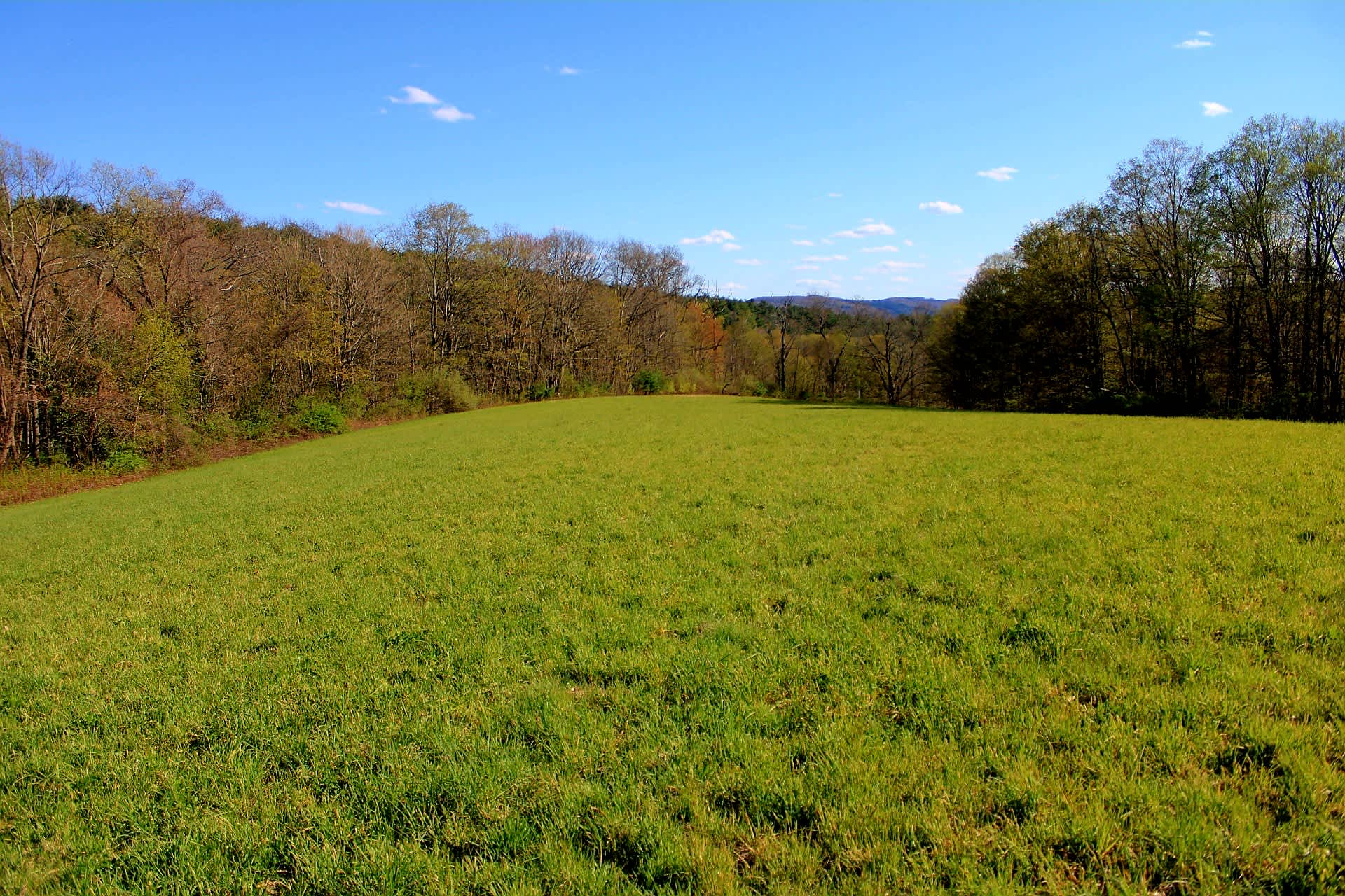 Goodfield Farm Rustic Camping