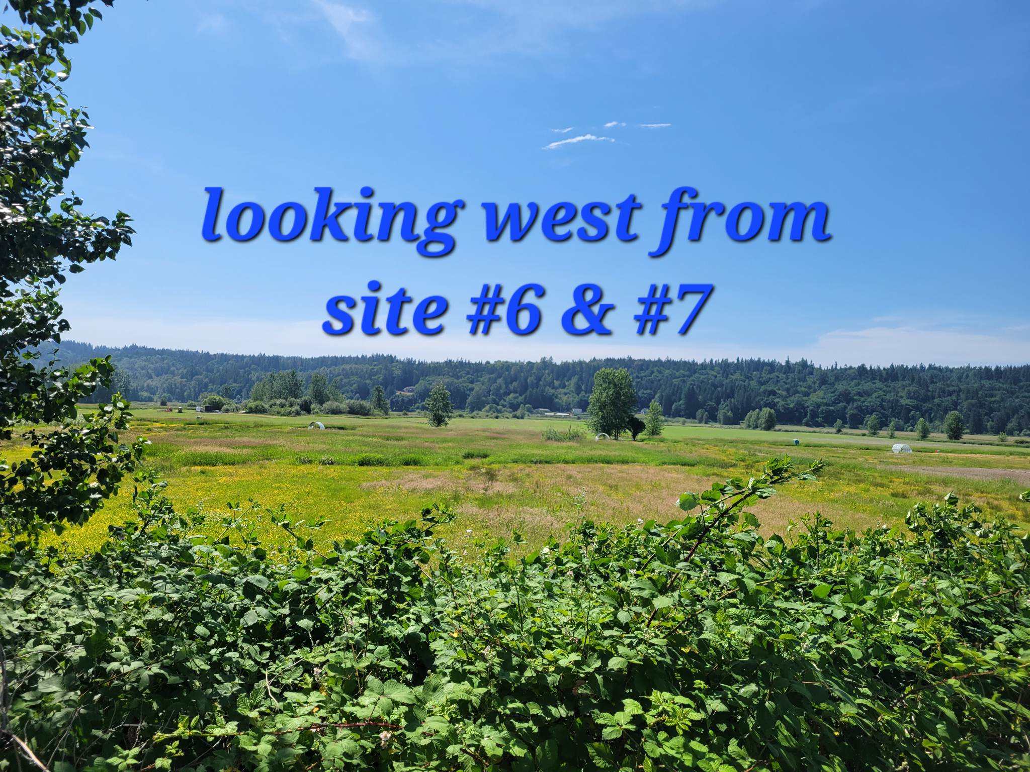Picture of the site