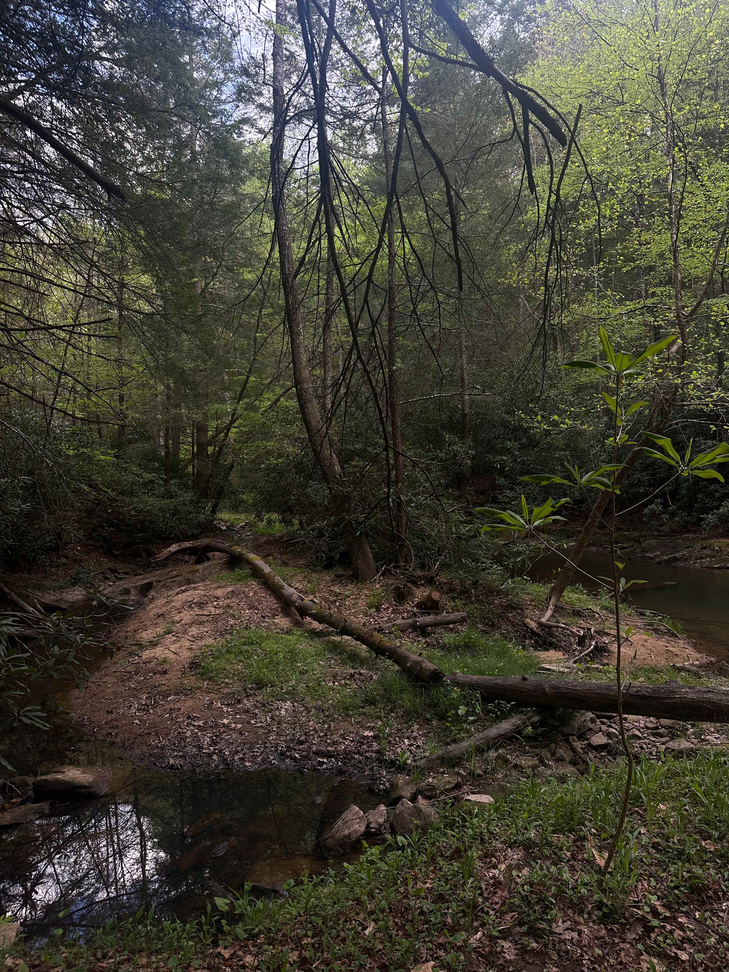 Possum Holler Camp- New River Gorge