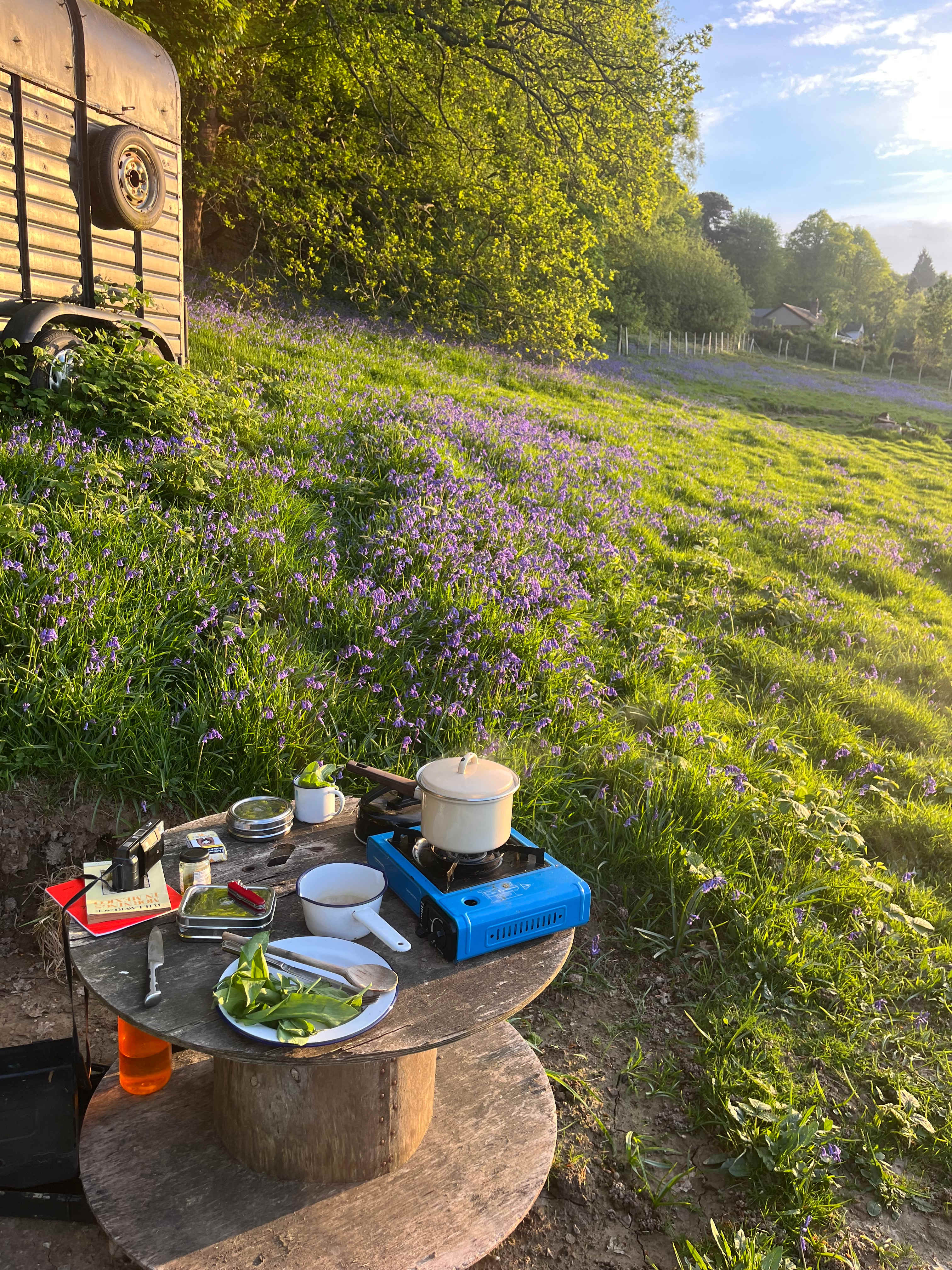 Small Meadow Campsite, Fairlight
