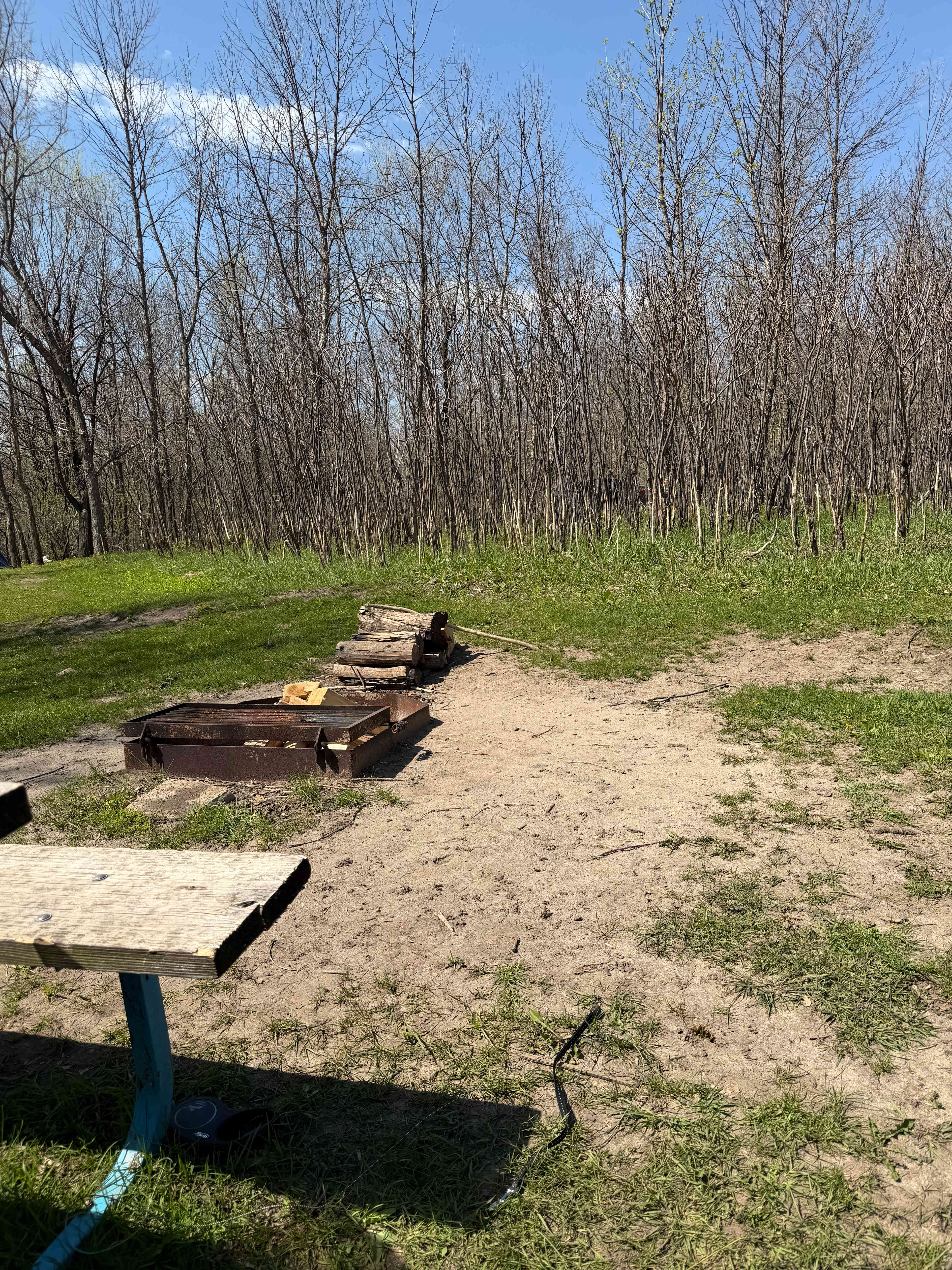 Prairie Creek Campground