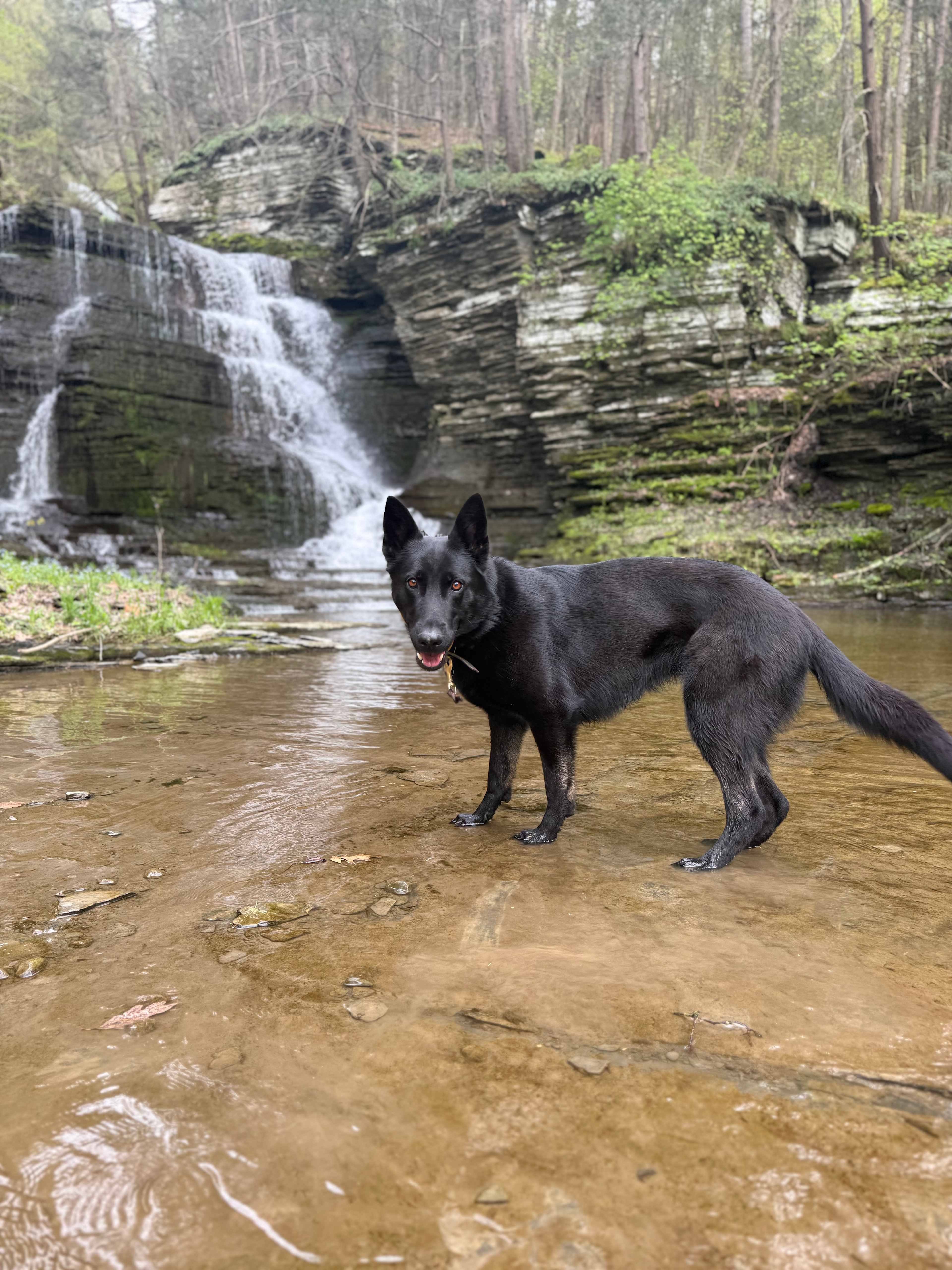 Waterfall Creek