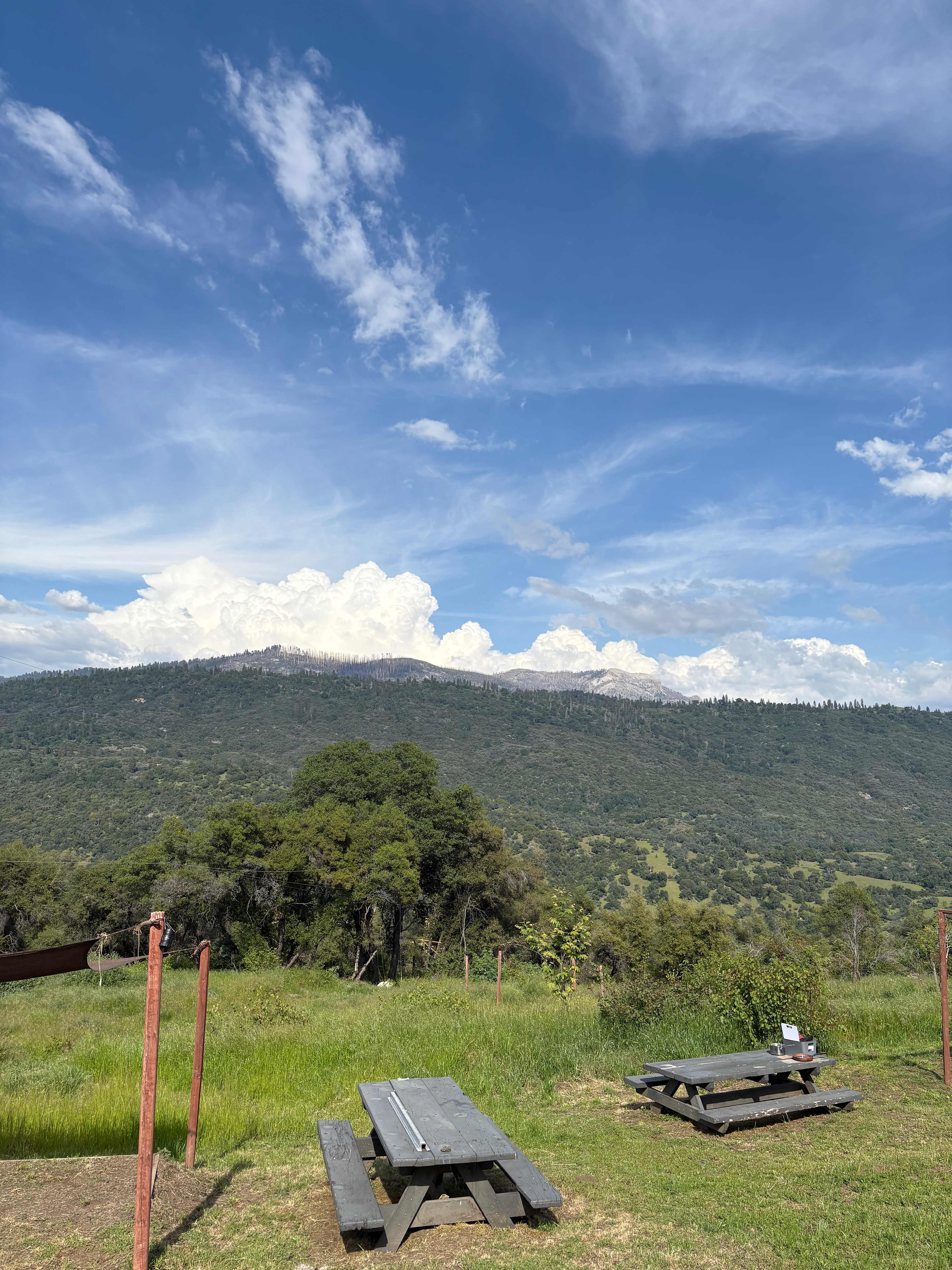 View from our site 