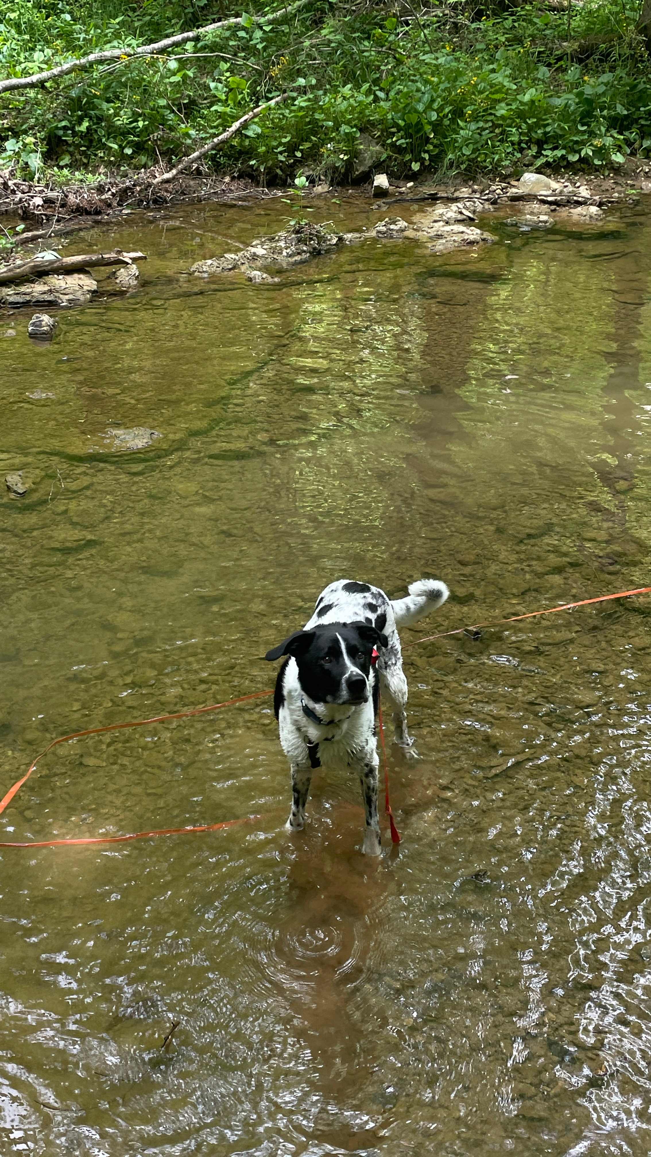Our boy enjoyed the water.
