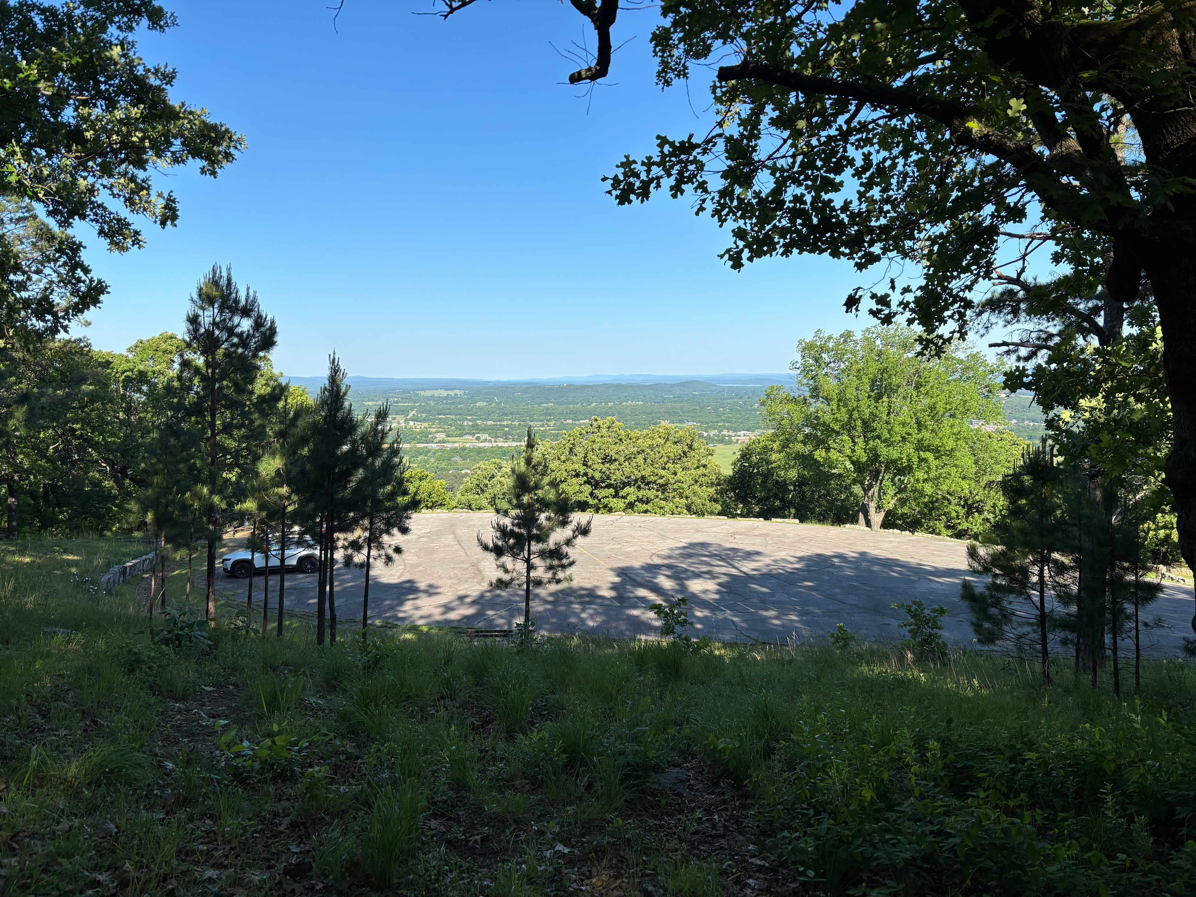 View from the picnic table.
