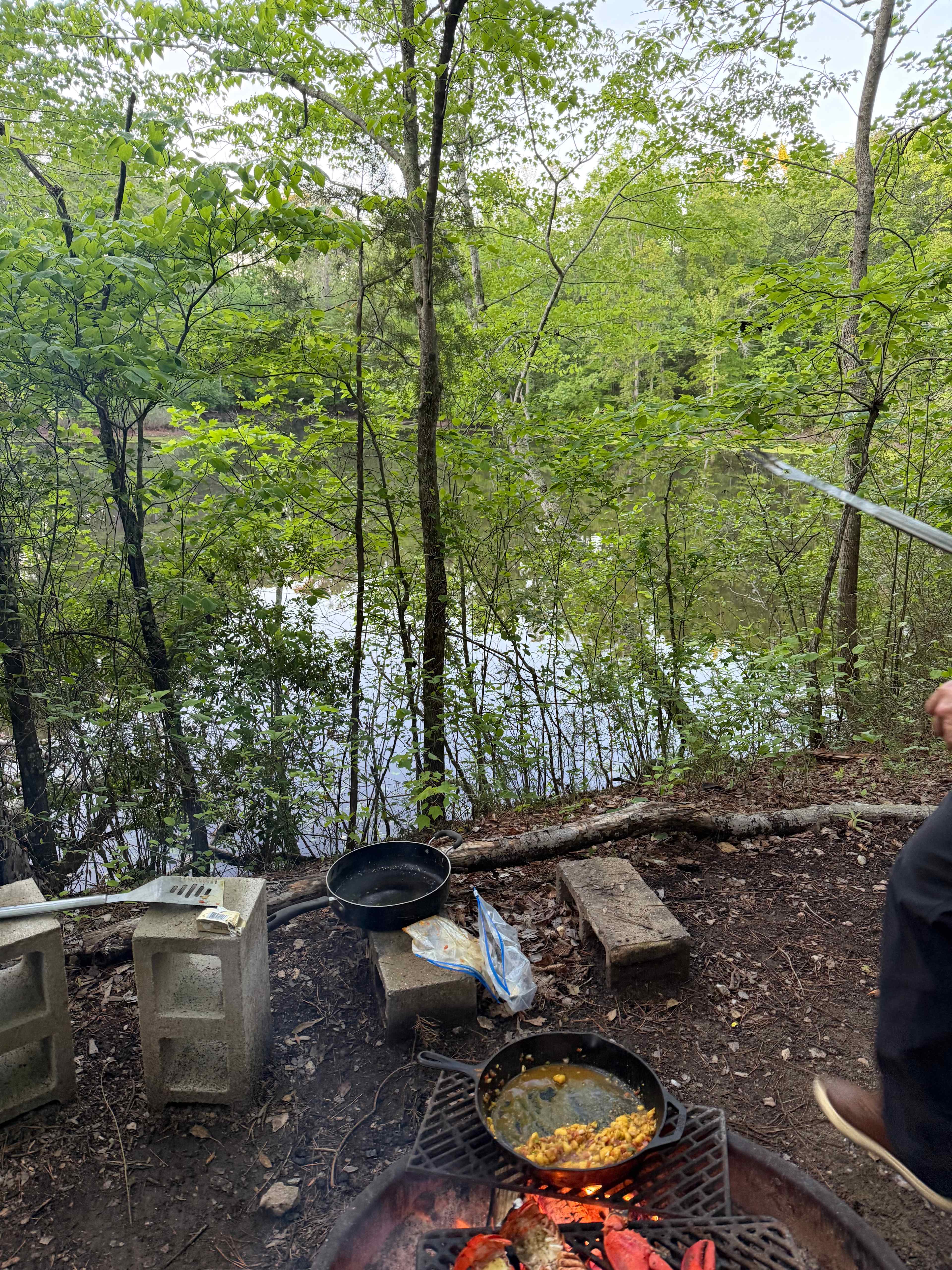 Private Oasis In The Forest
