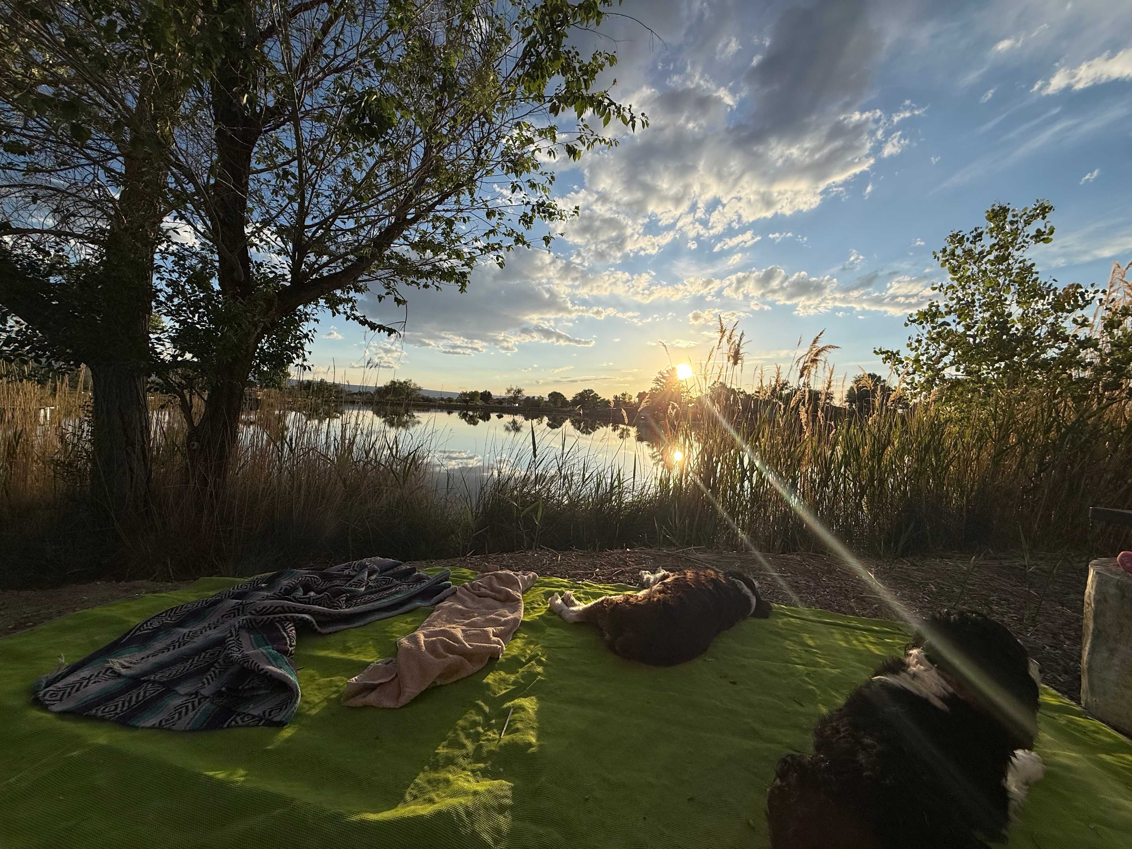 Lakeside Camping, Water Time :)