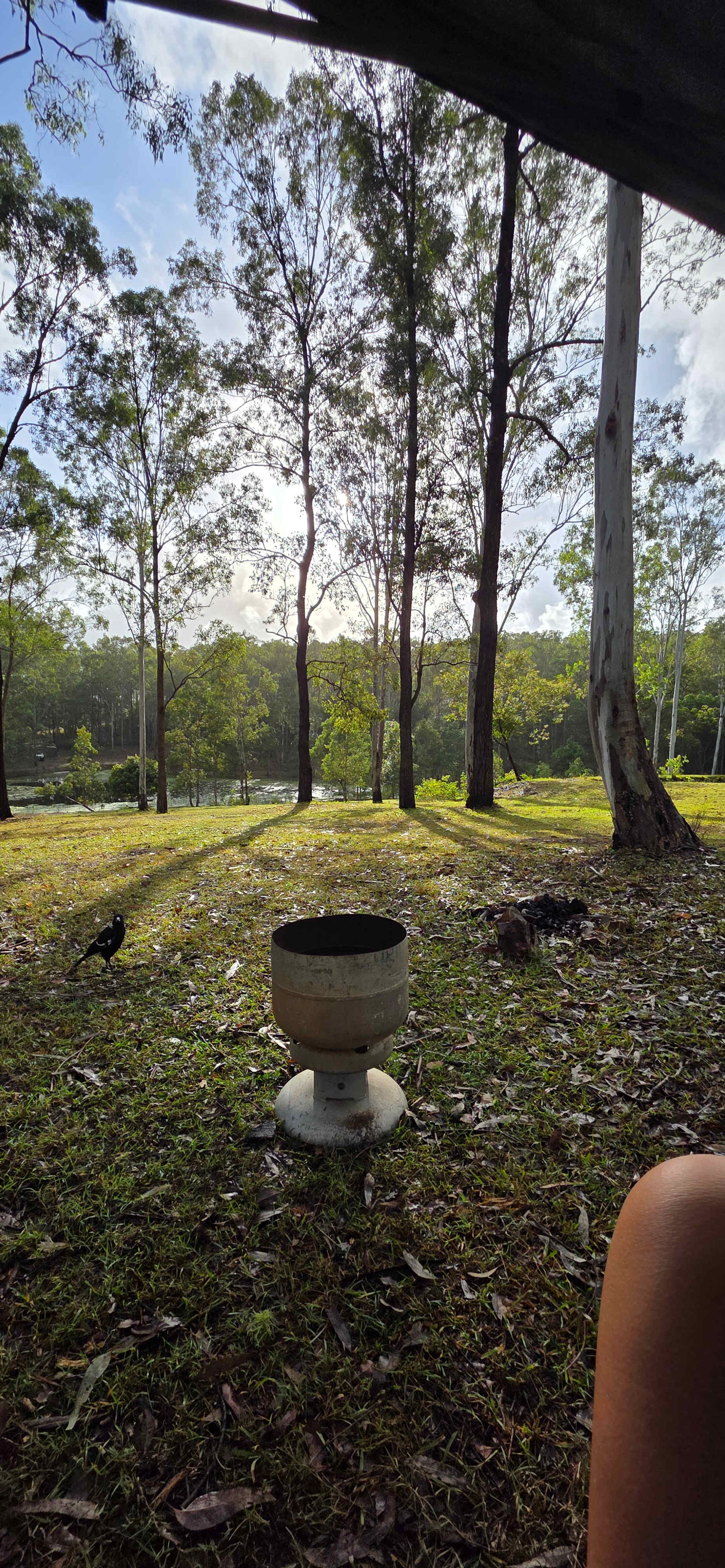 Maya Nature Park