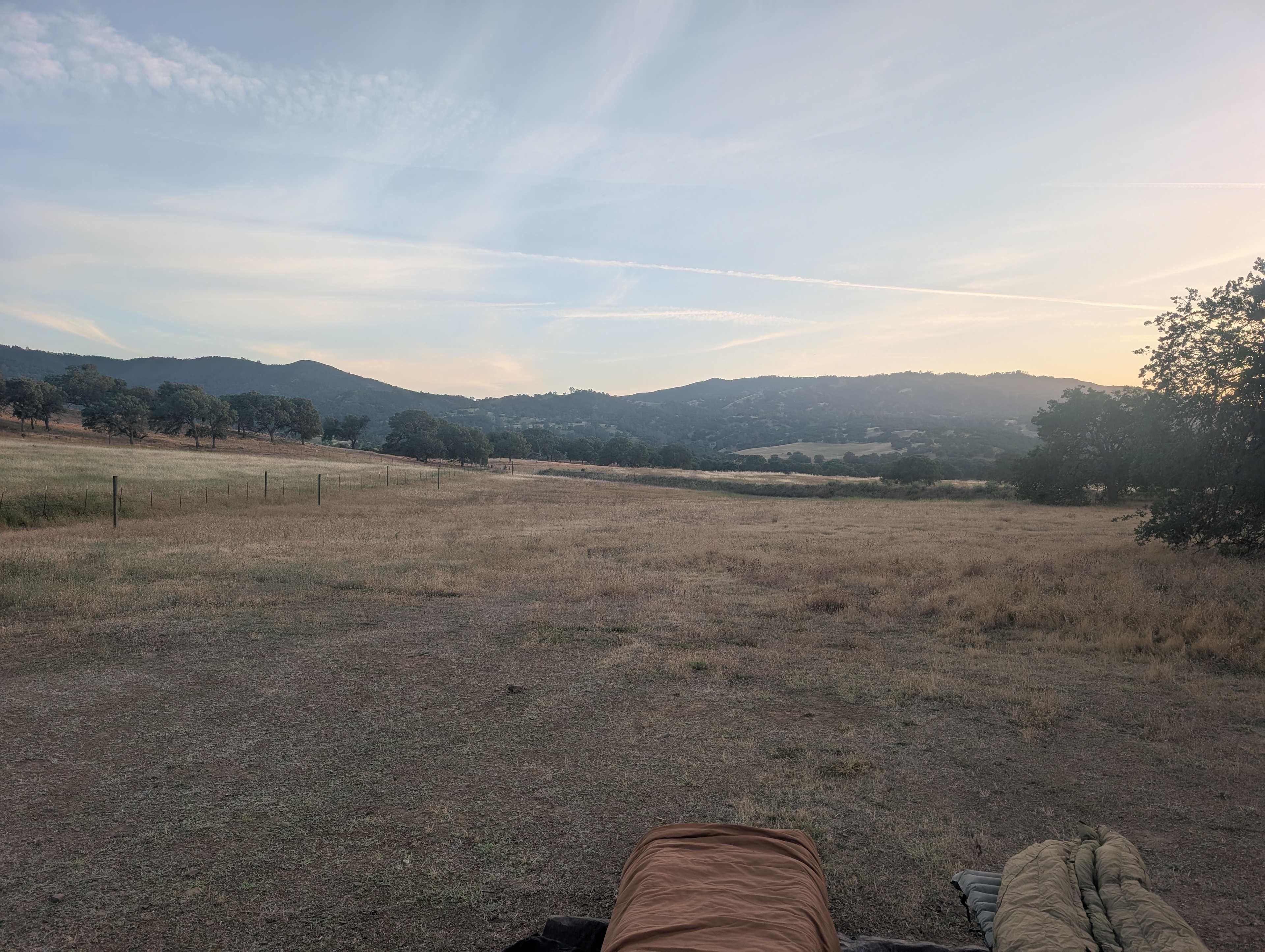 3 coyotes view