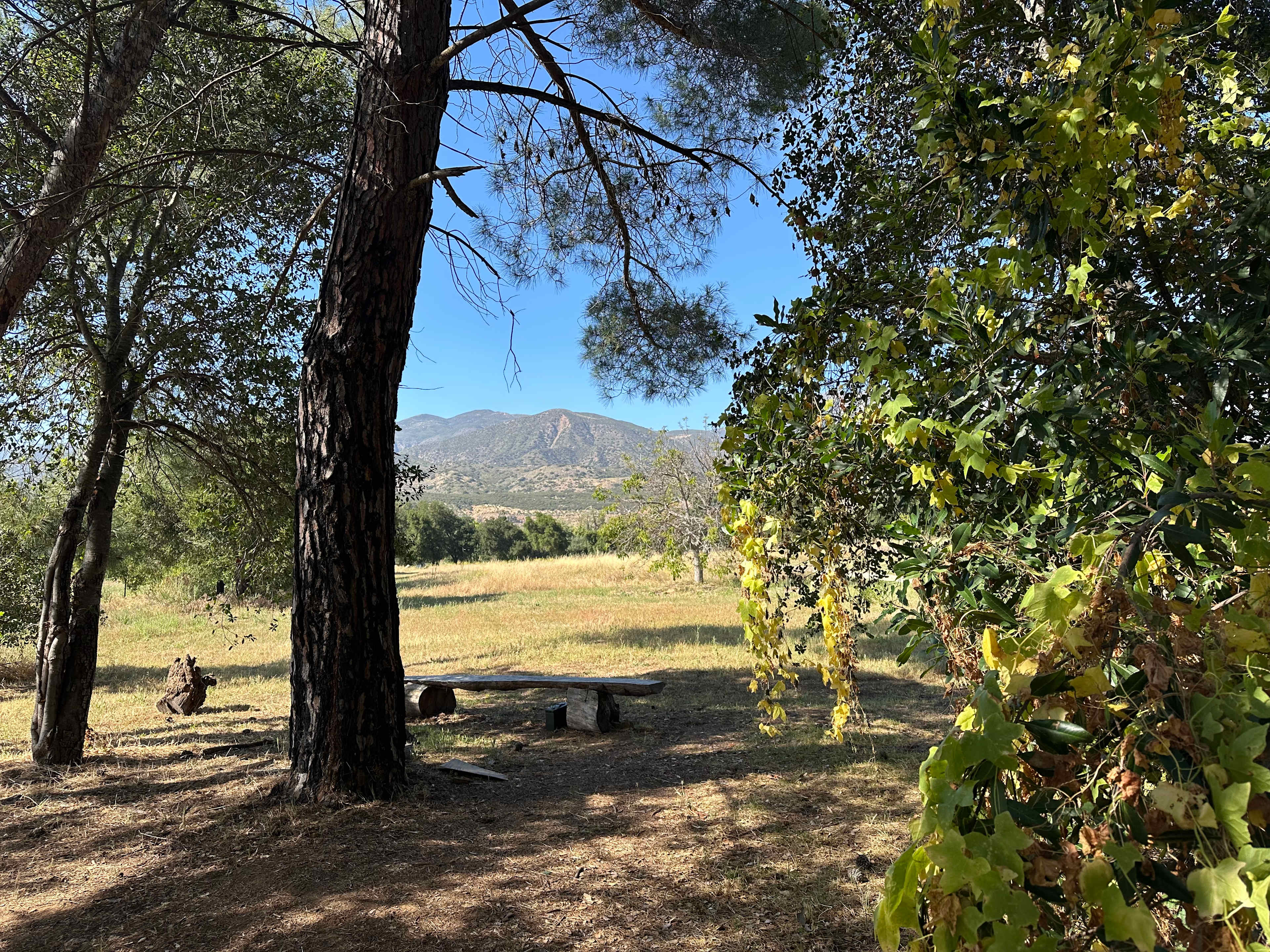 Park At Tar Creeks Ranch