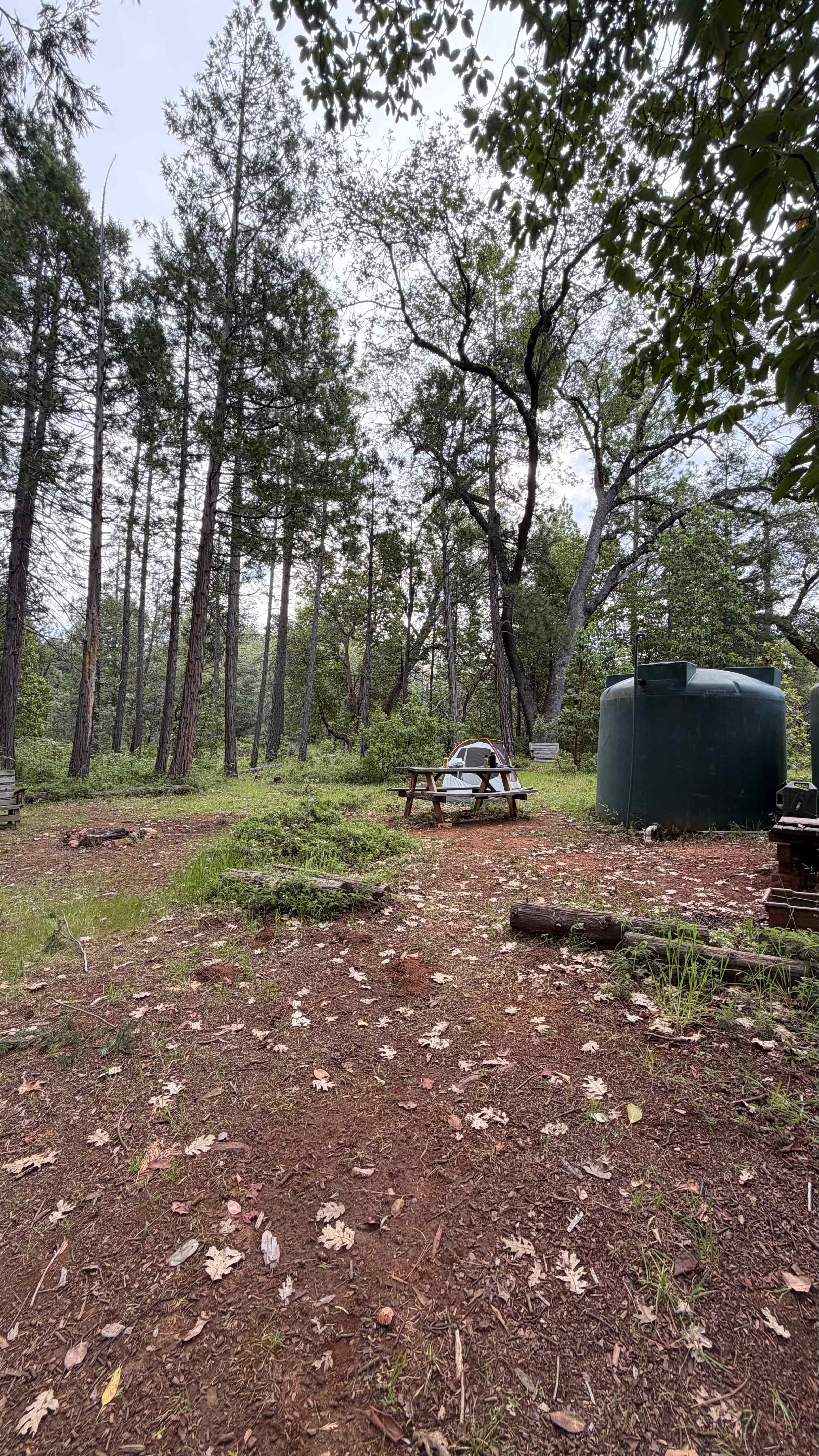 No. Columbia Off-Grid Homestead