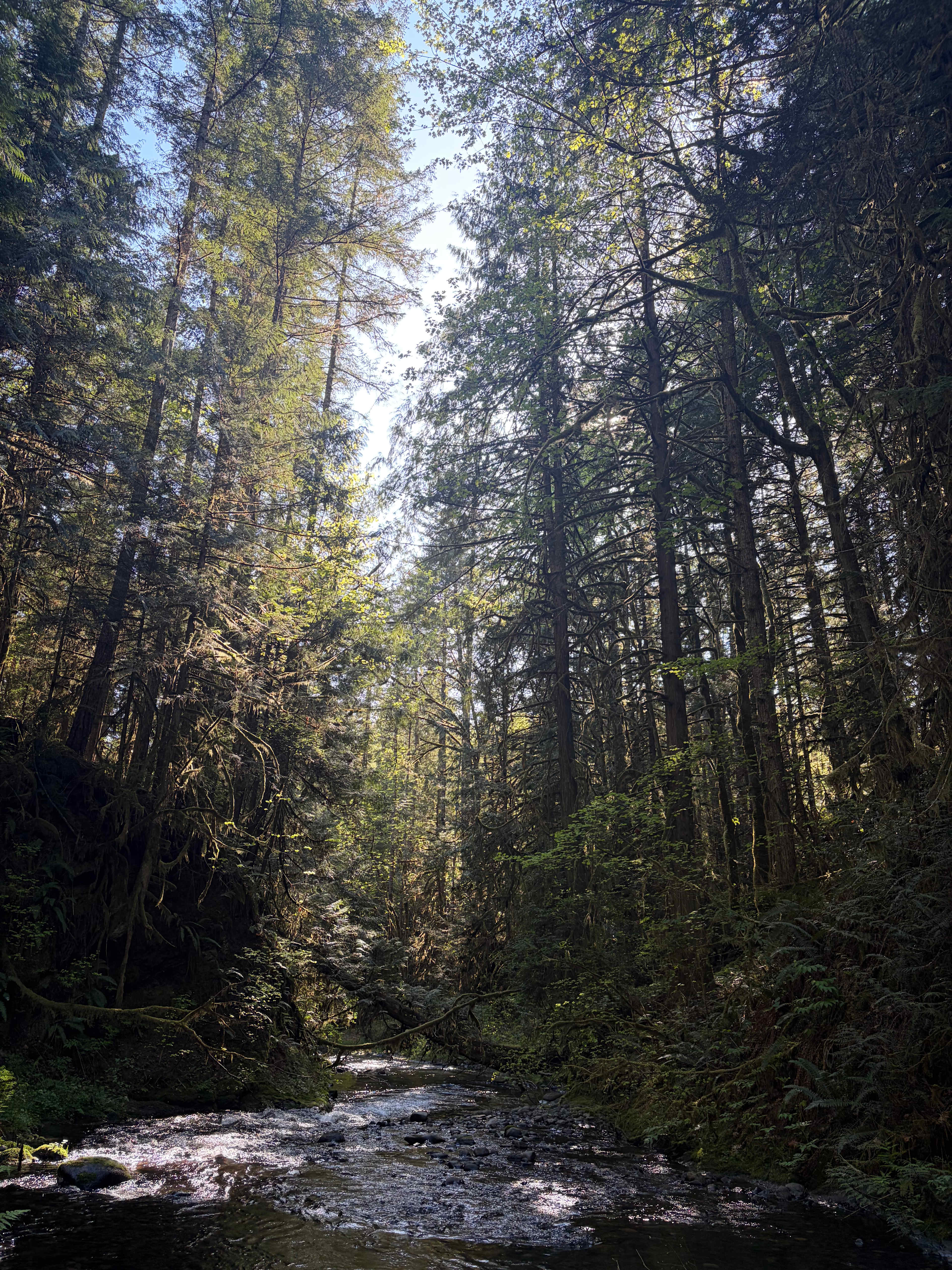 Little River Hideaway