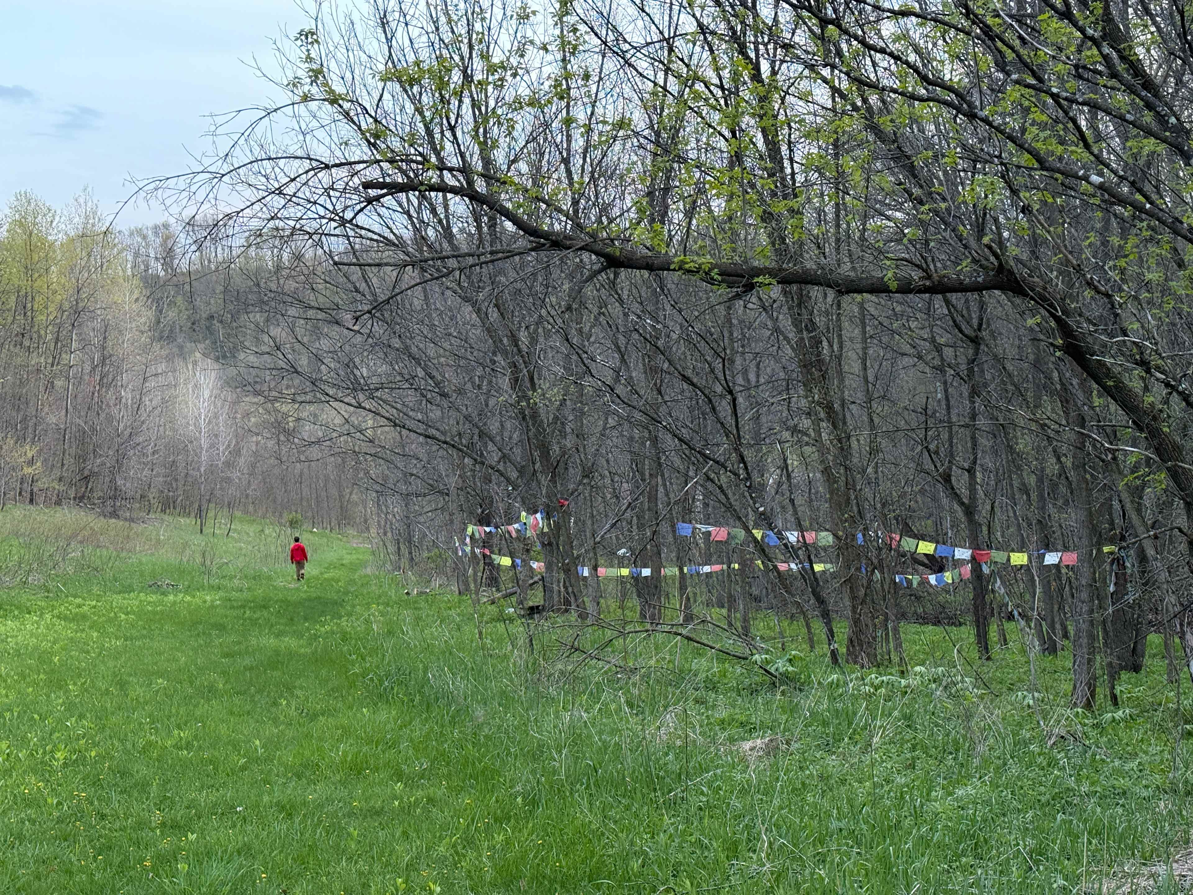 Beautiful and peaceful memorial site
