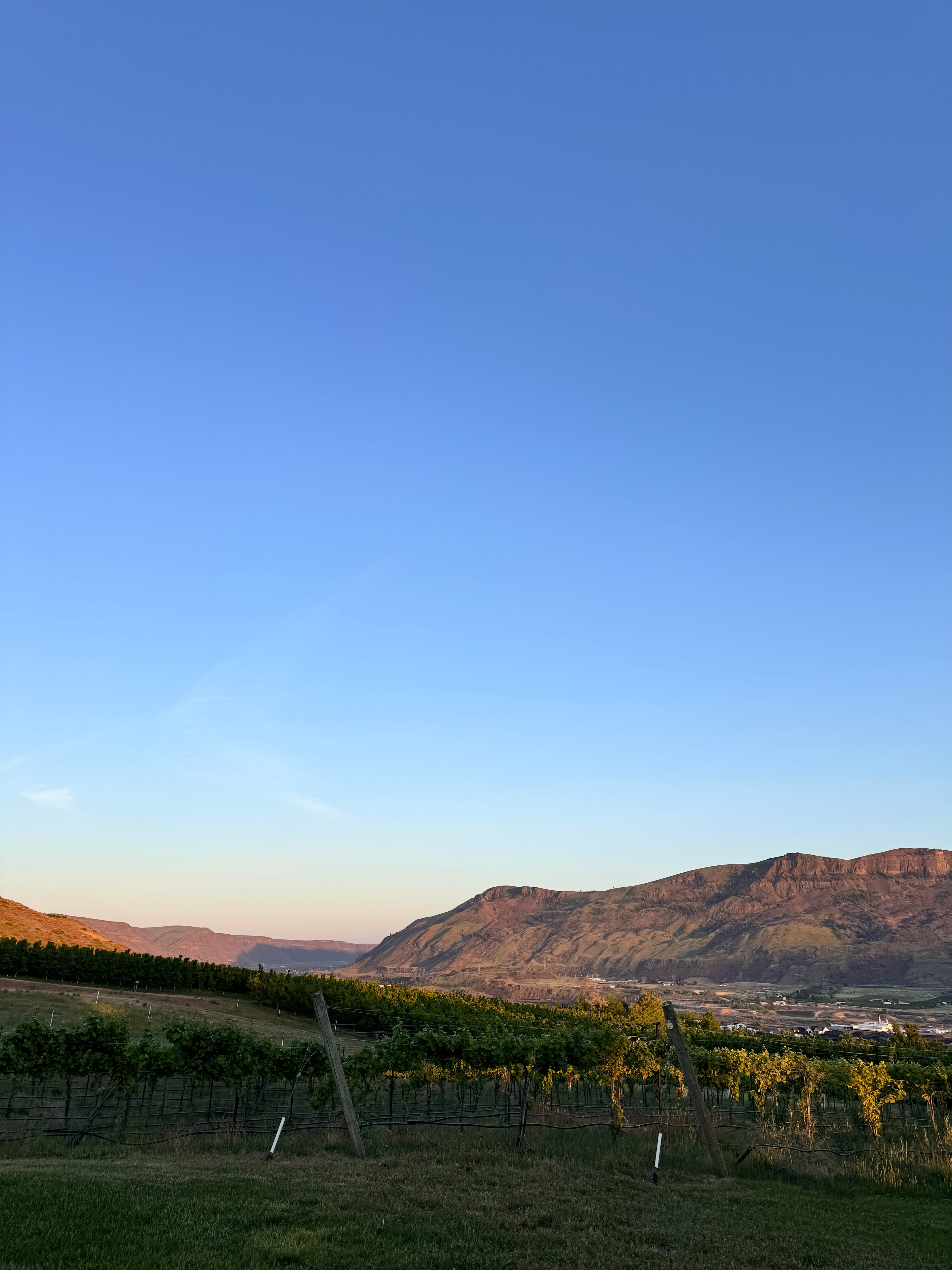 Bianchi Vineyards RV Site