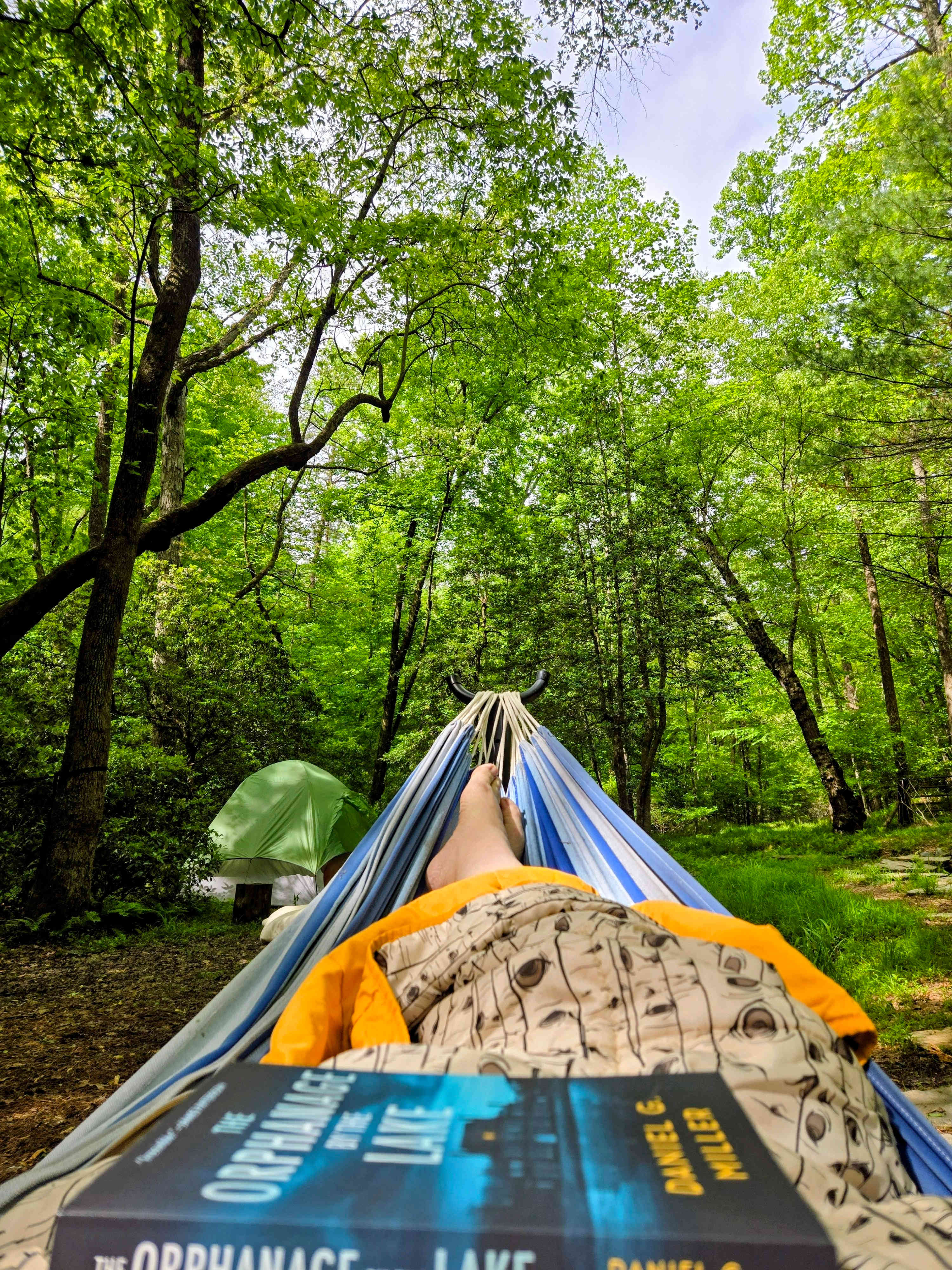 Your Toccoa River Cove!