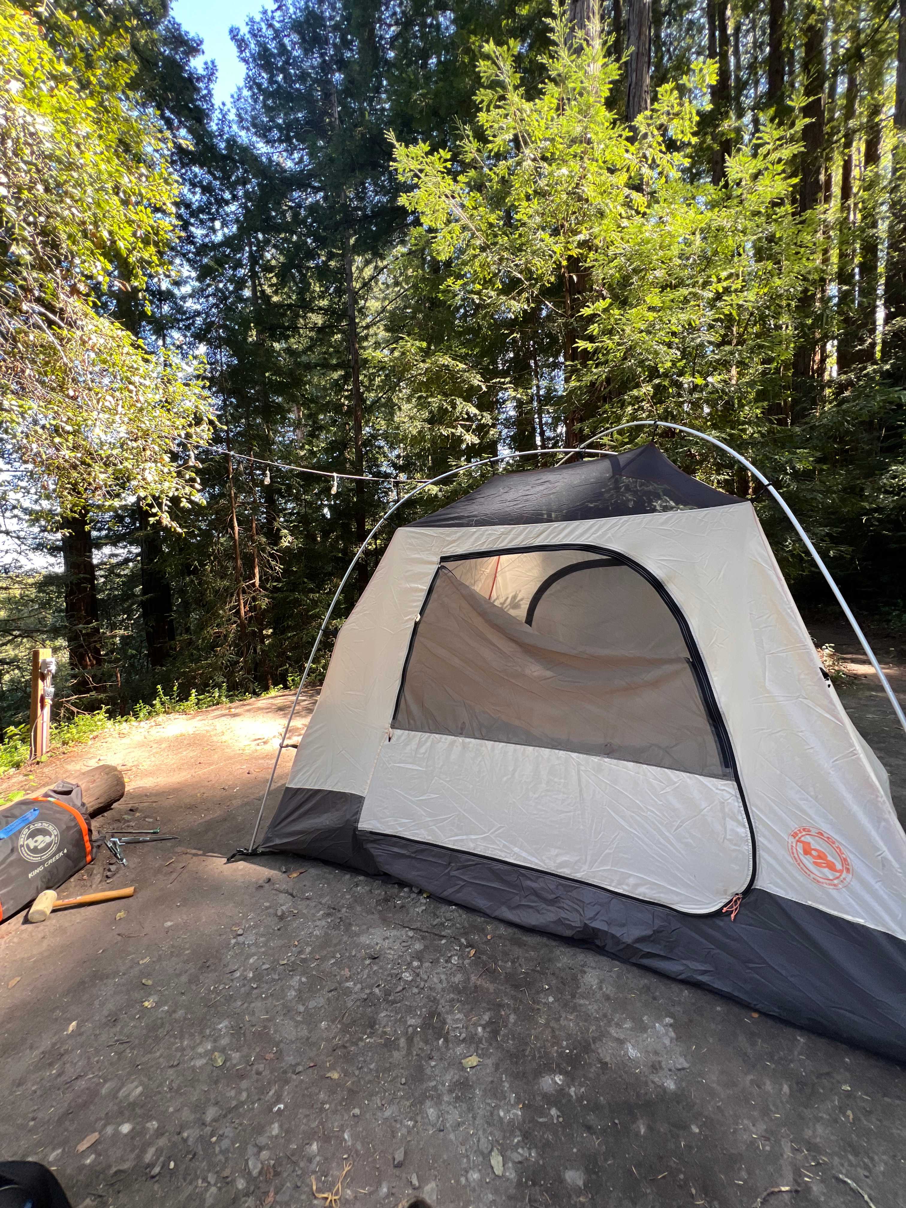 Fern Ridge Flats - Private Camping