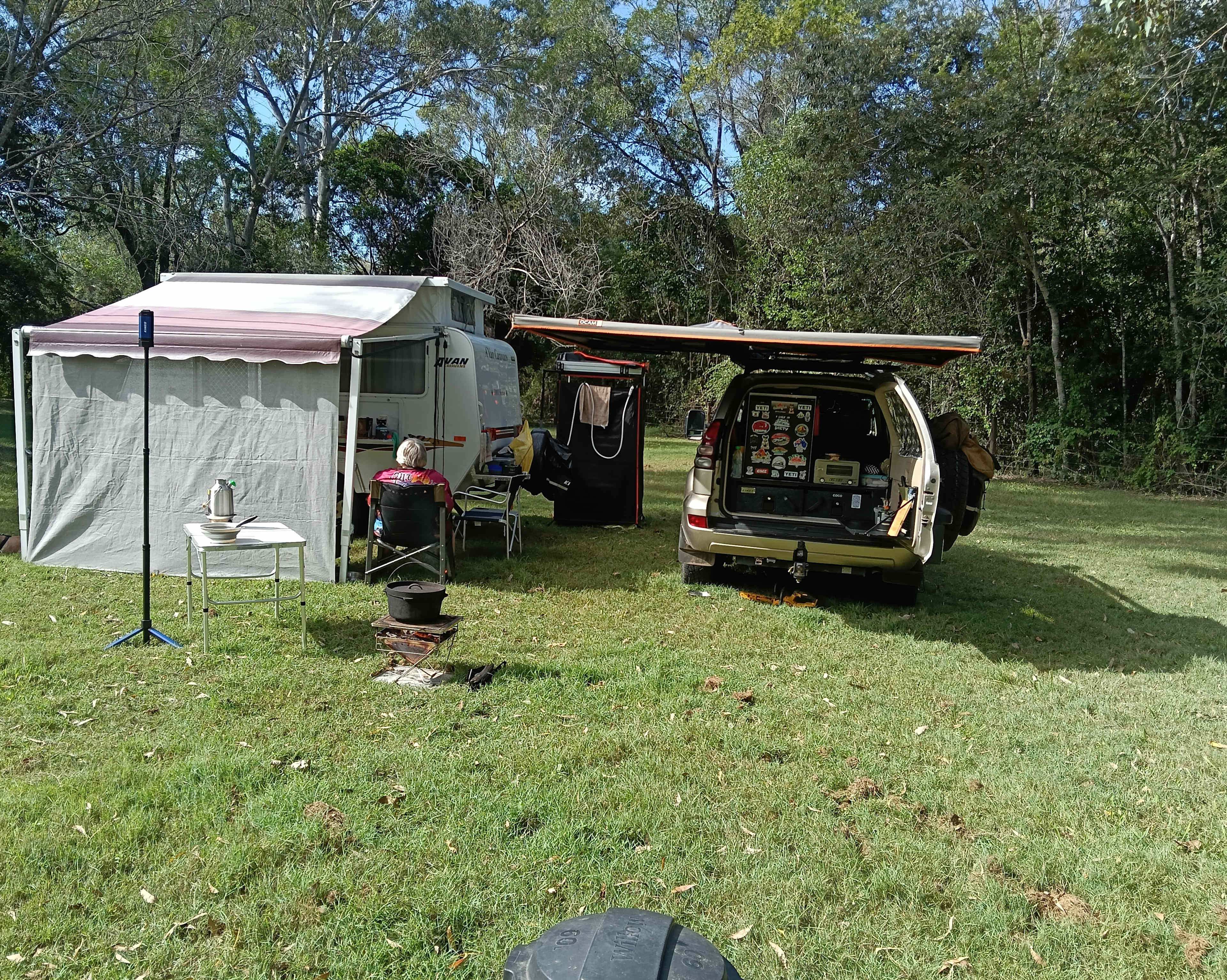 Kotuku on Oyster Creek