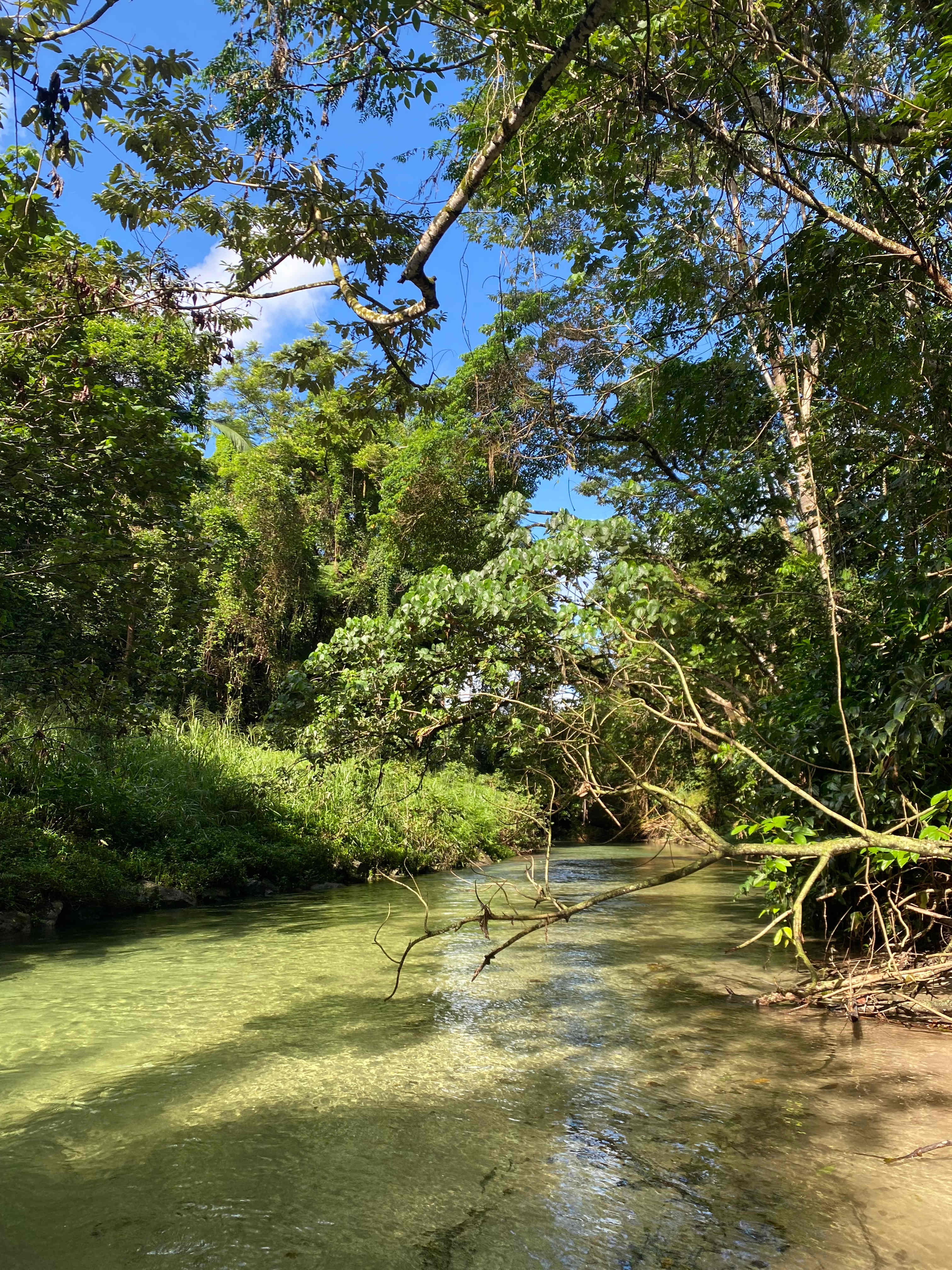 Paradise Camps