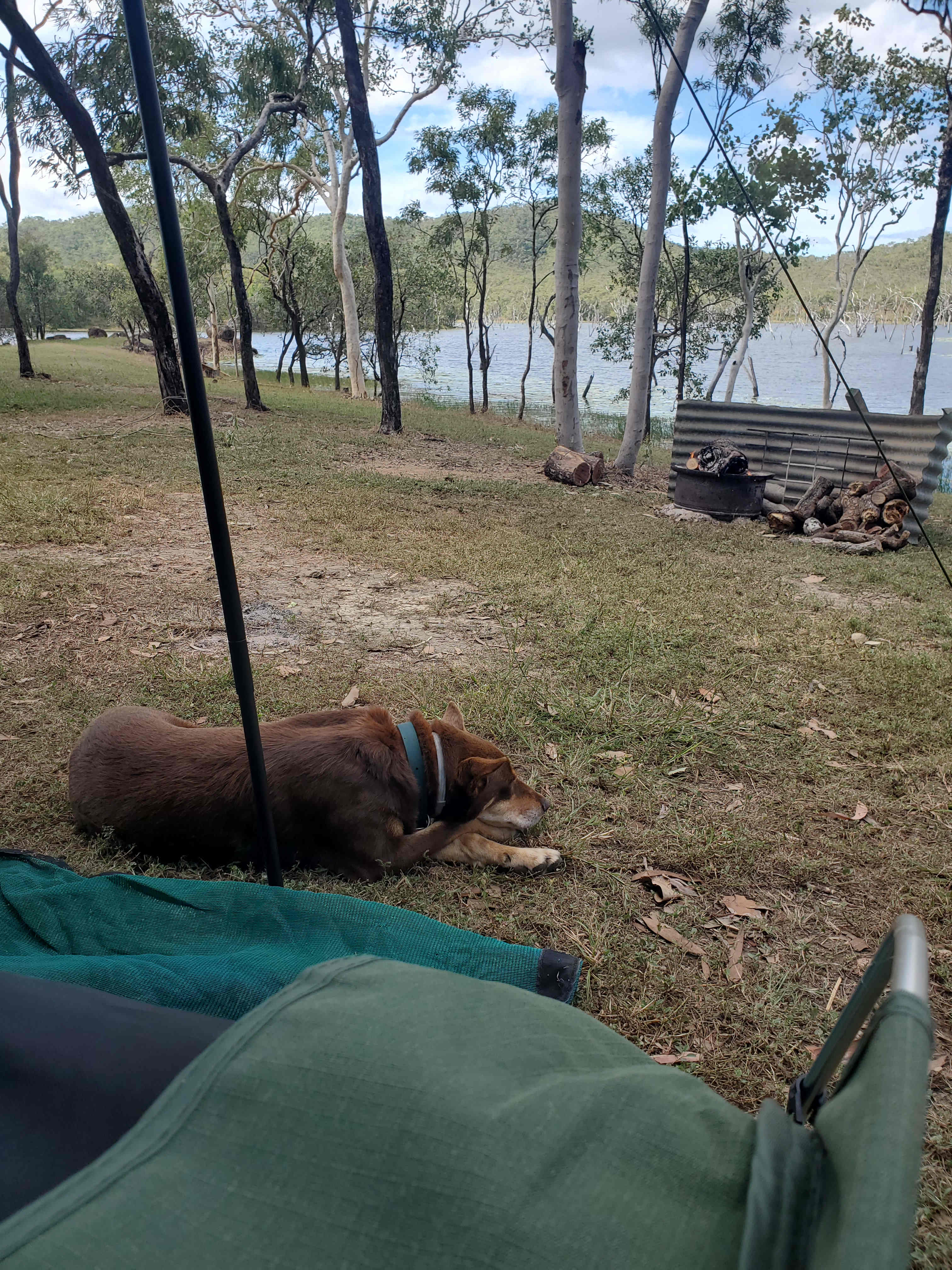 Lakeland Downs Camping