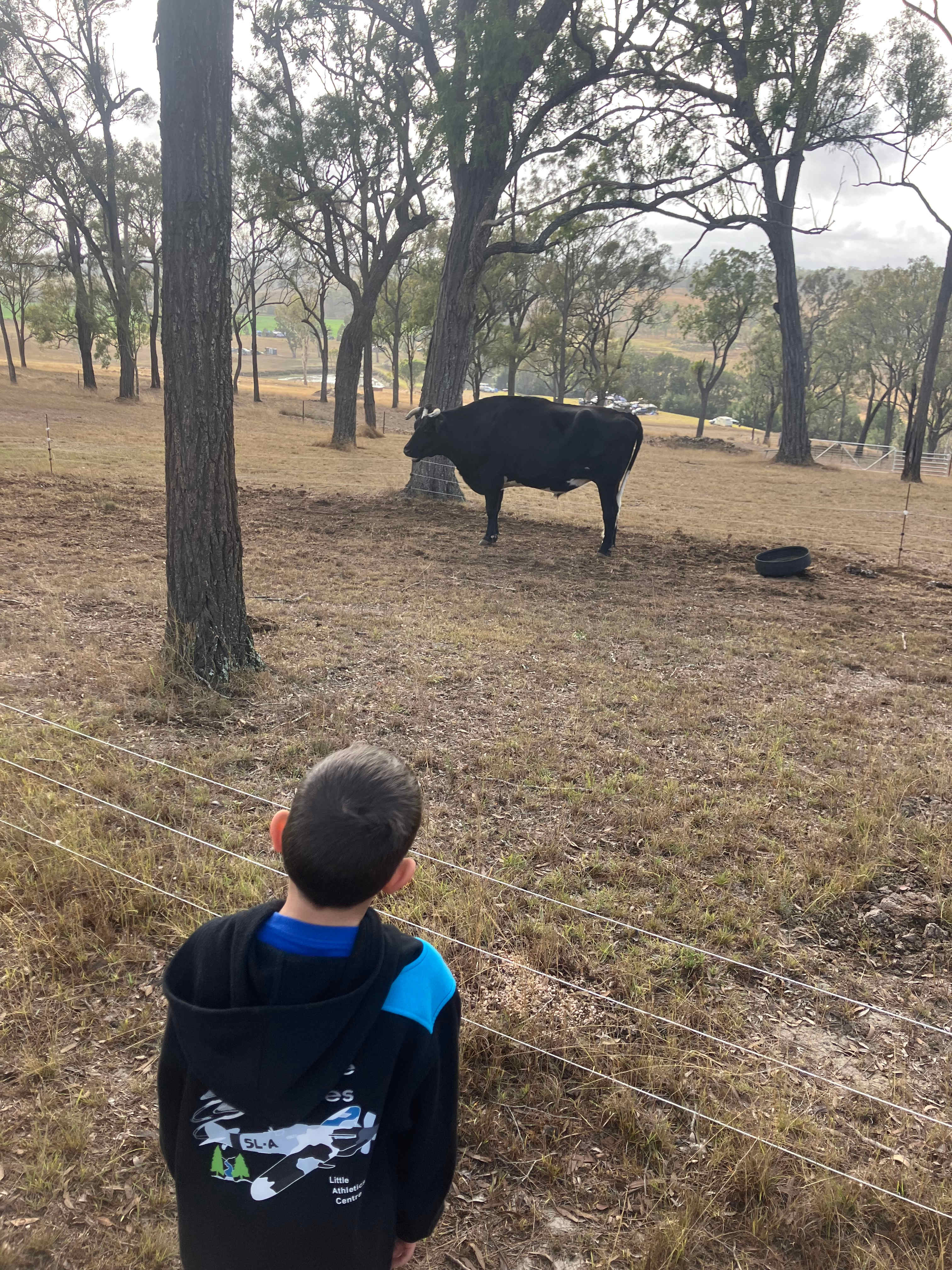 Berrima Camping & Farmstay