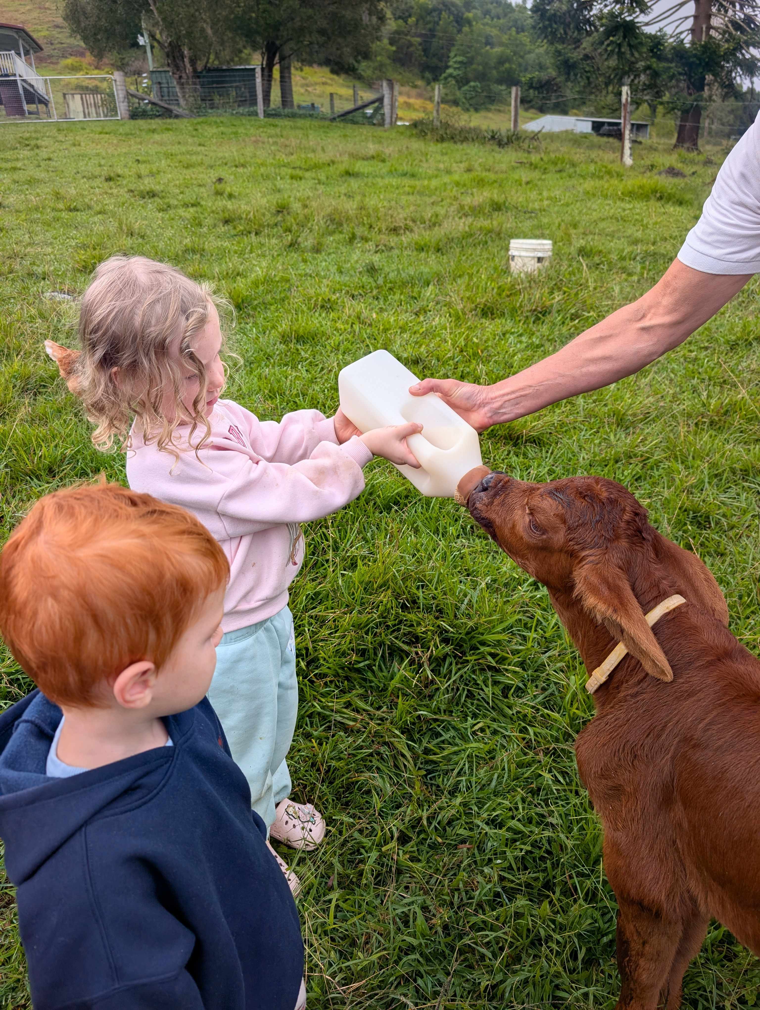 Cedarton Farm Stays