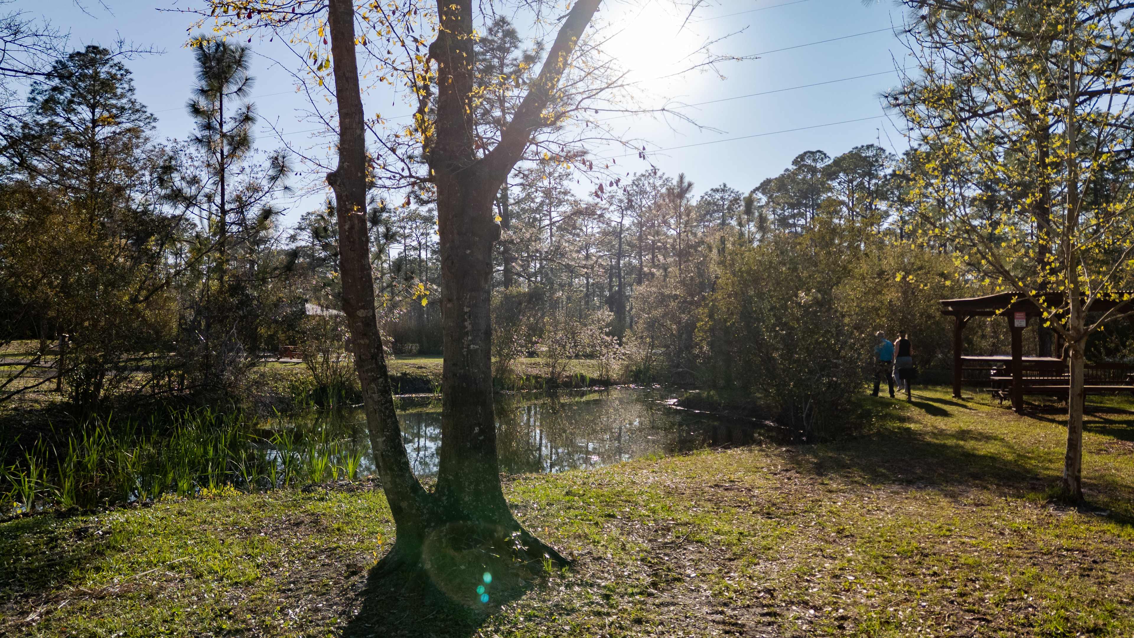 Picture of the site