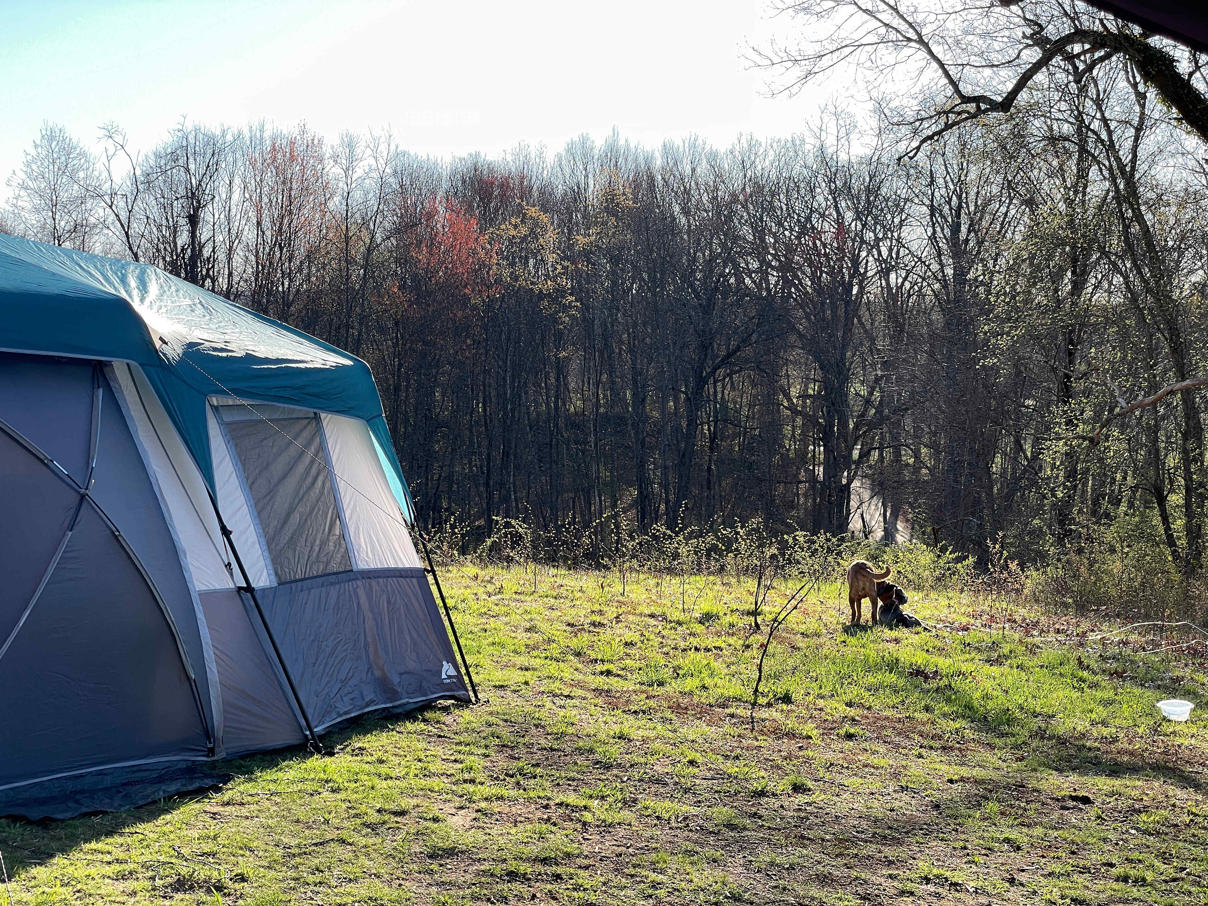 Goodfield Farm Rustic Camping