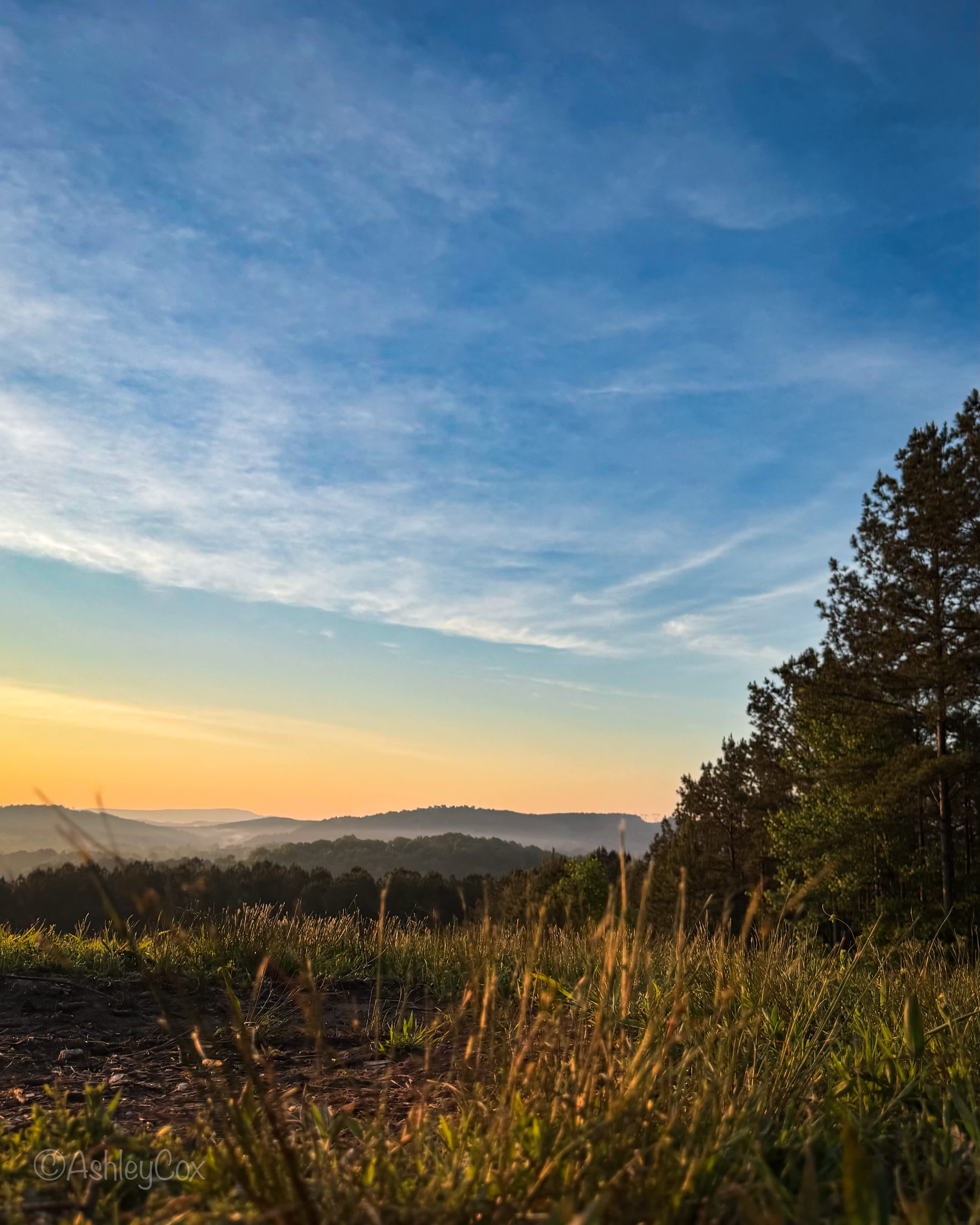 Eads Bluff Farm
