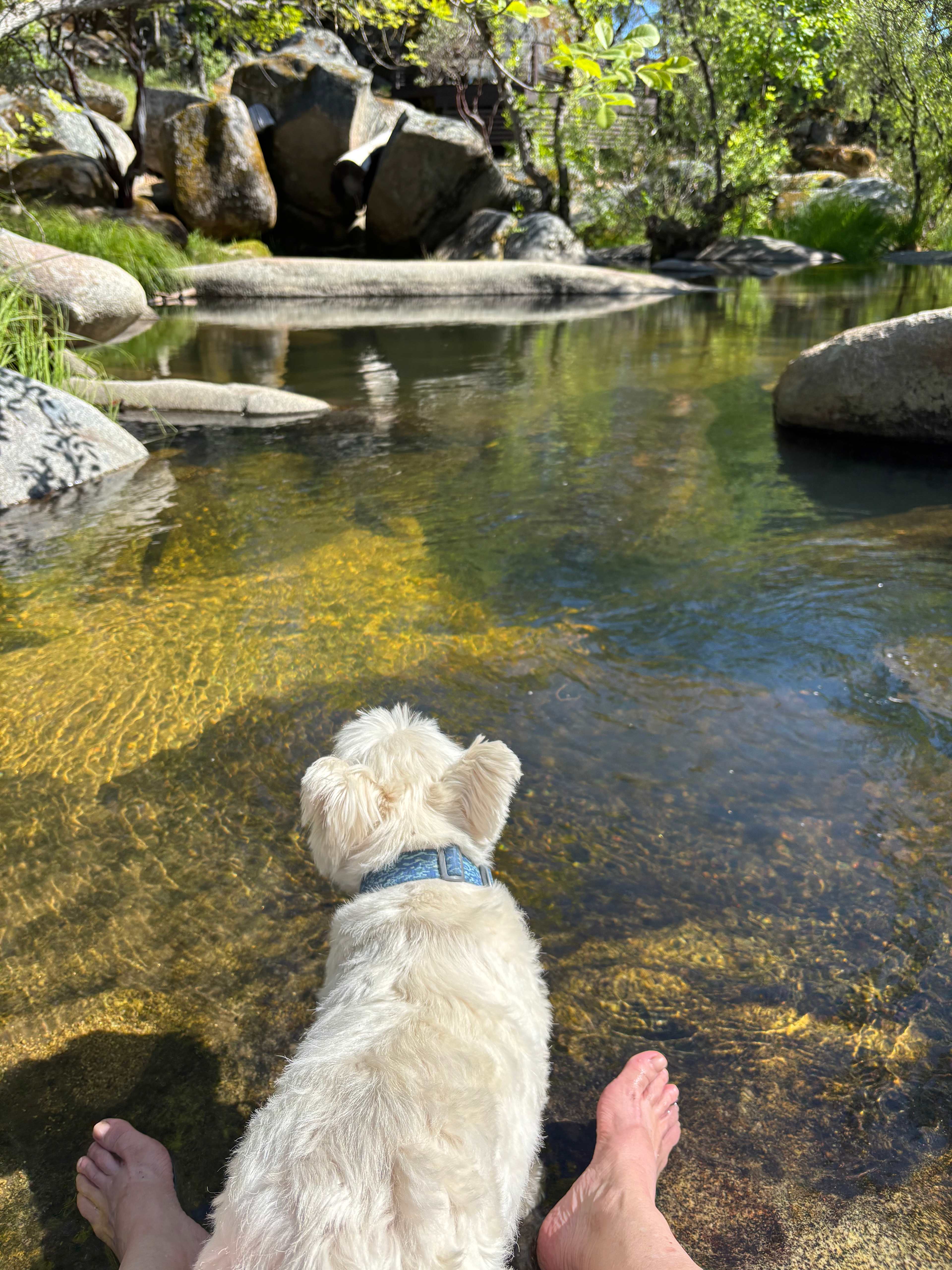Nearby Stream