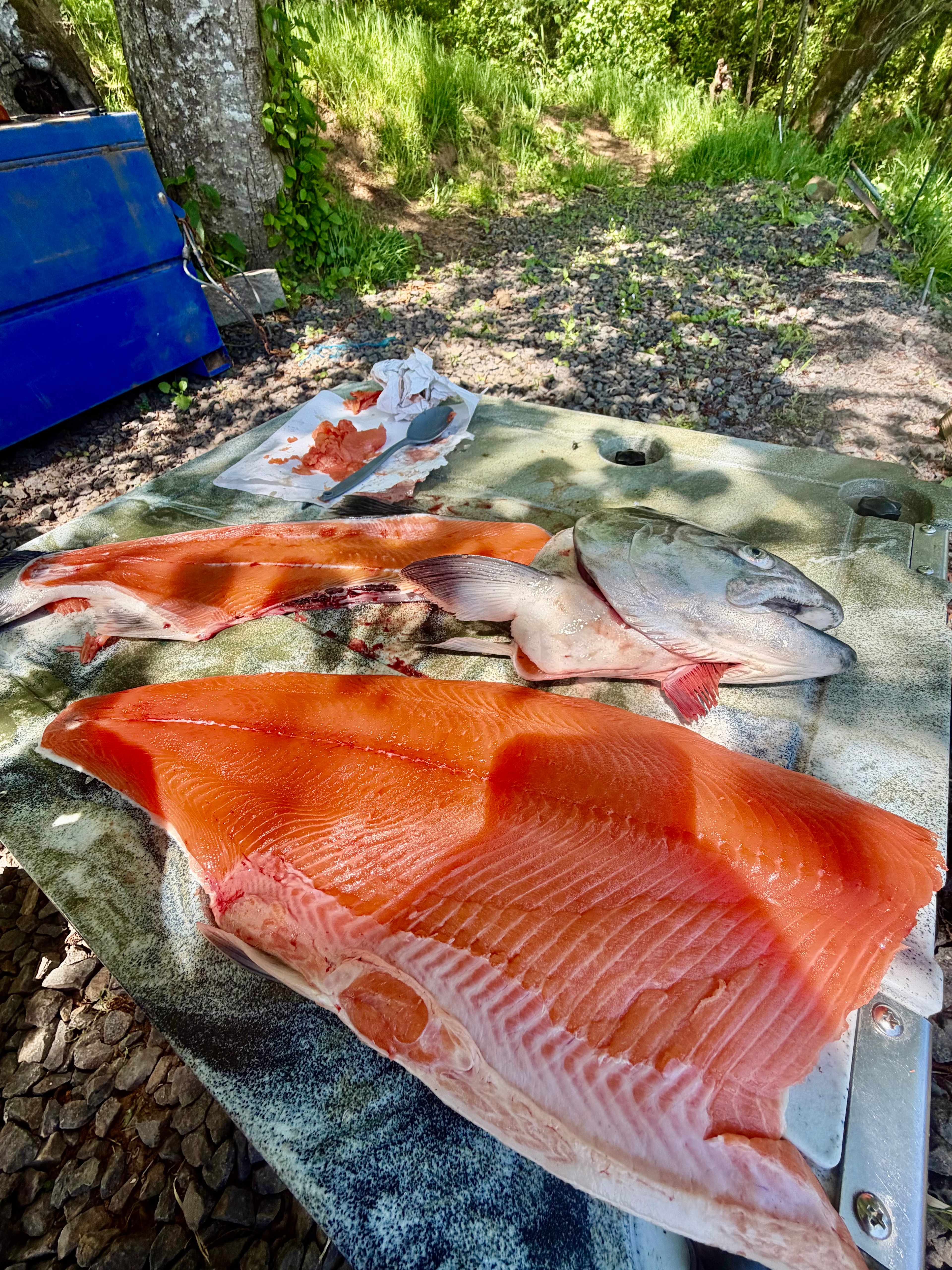 Cowlitz River Camping