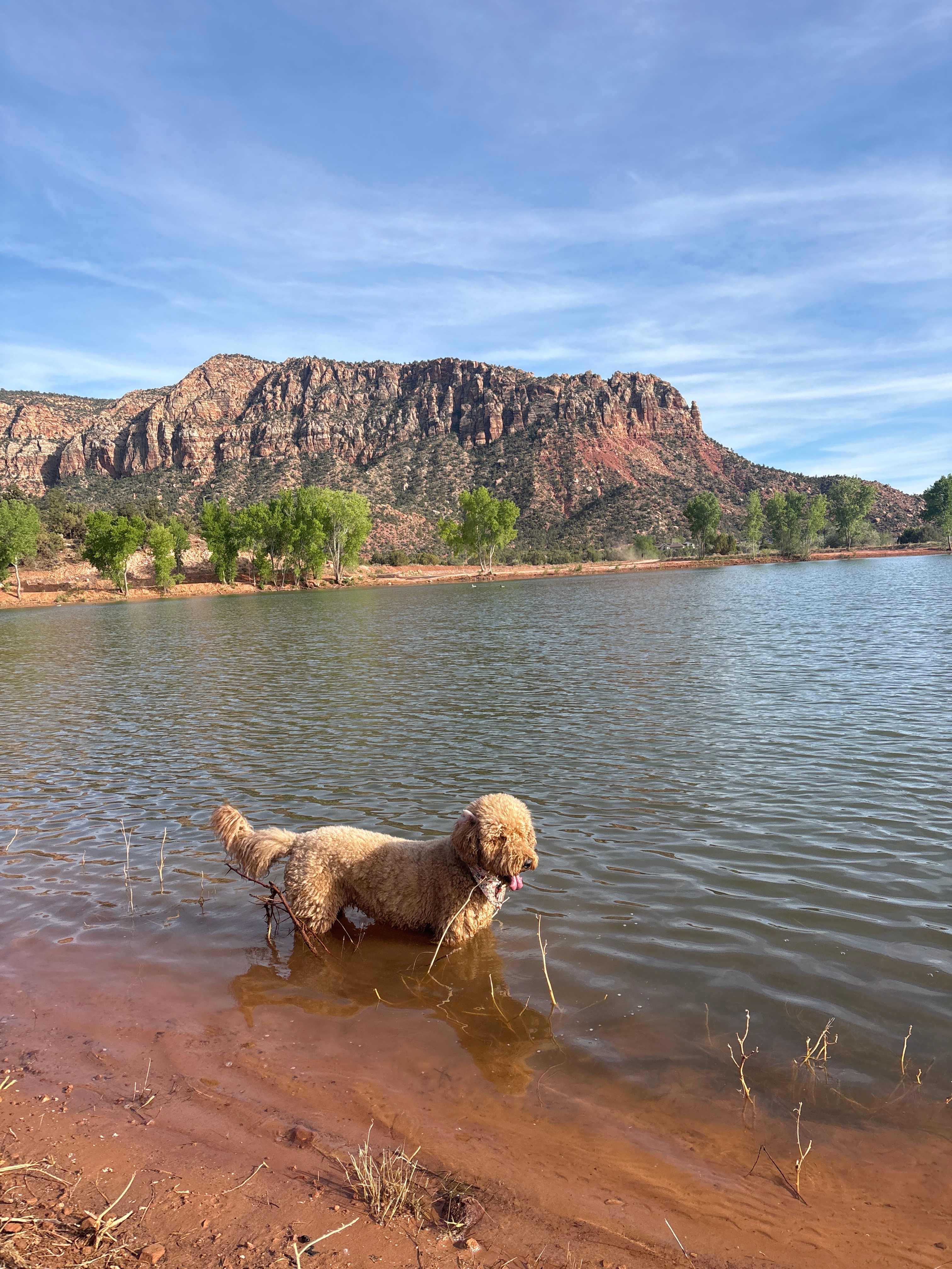 Zion View Campsite