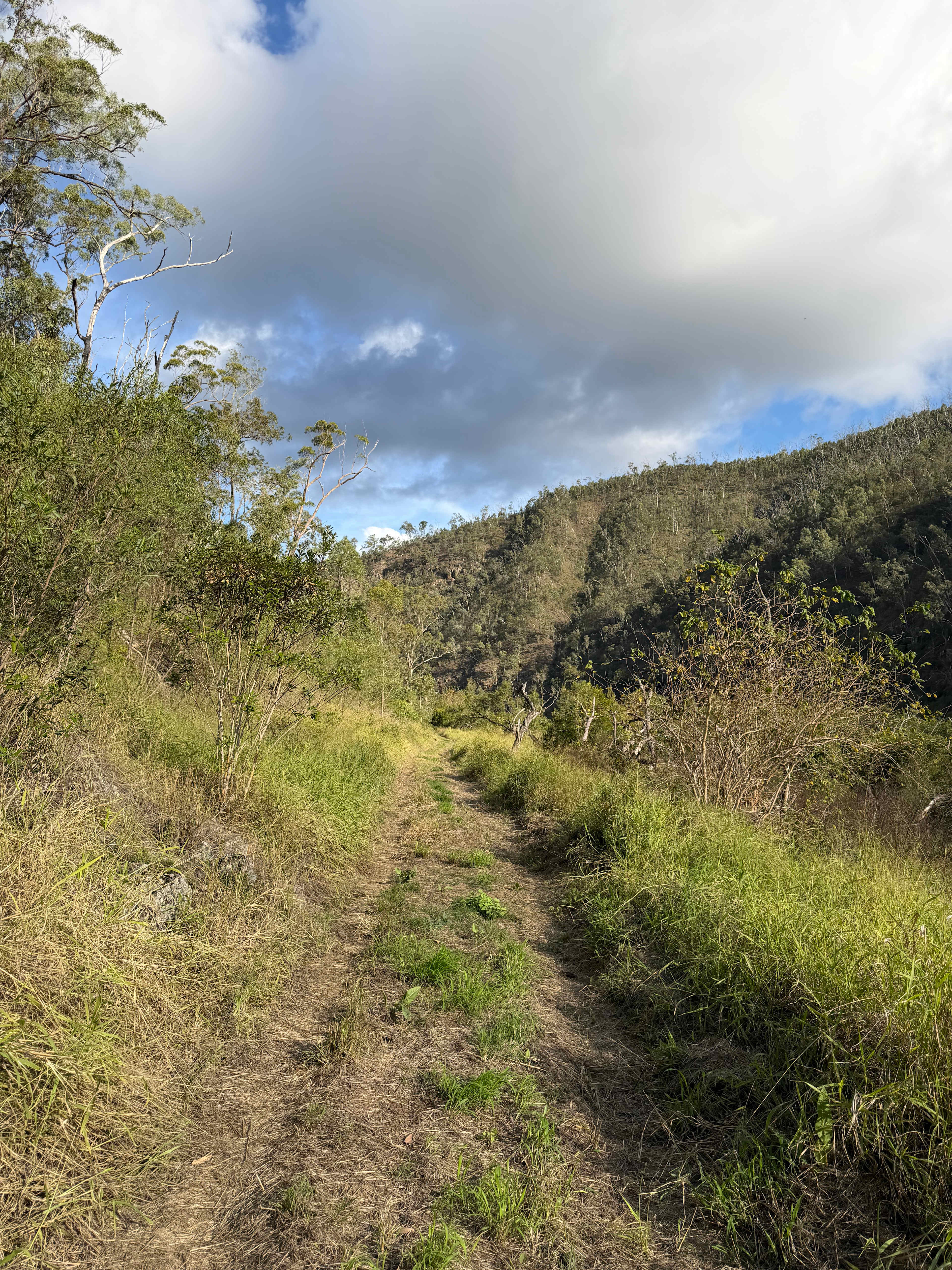 Clarence River Wilderness Lodge