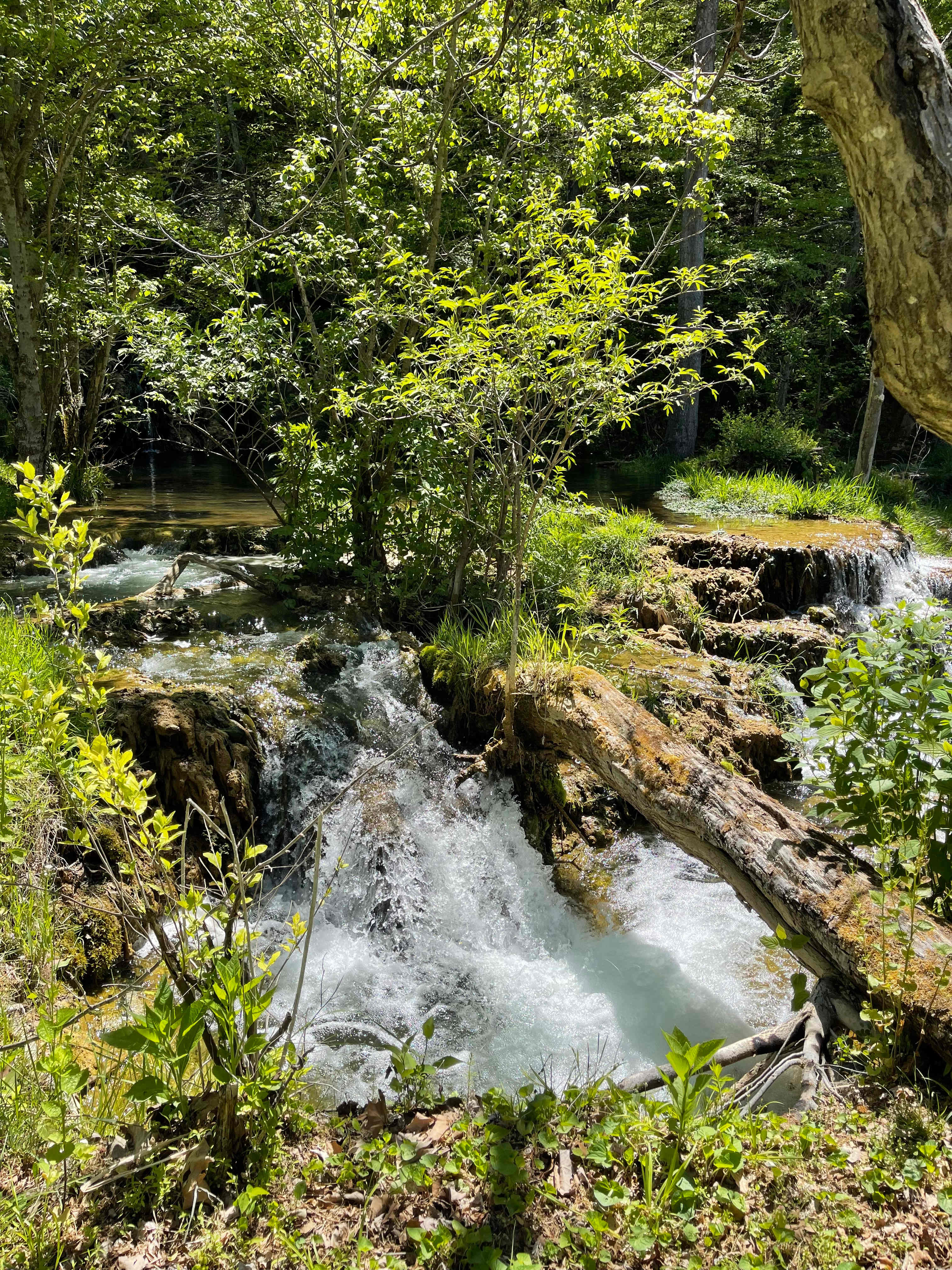 Cold rushing water 