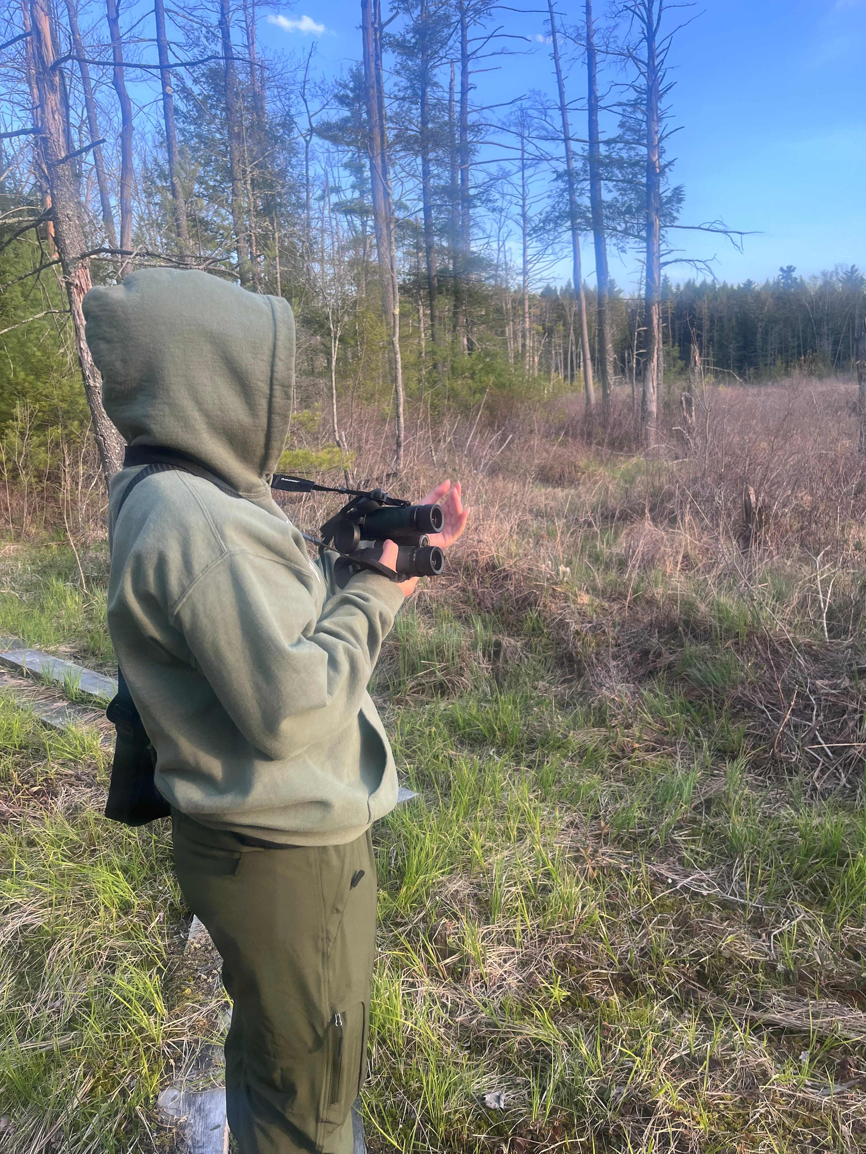 Birding