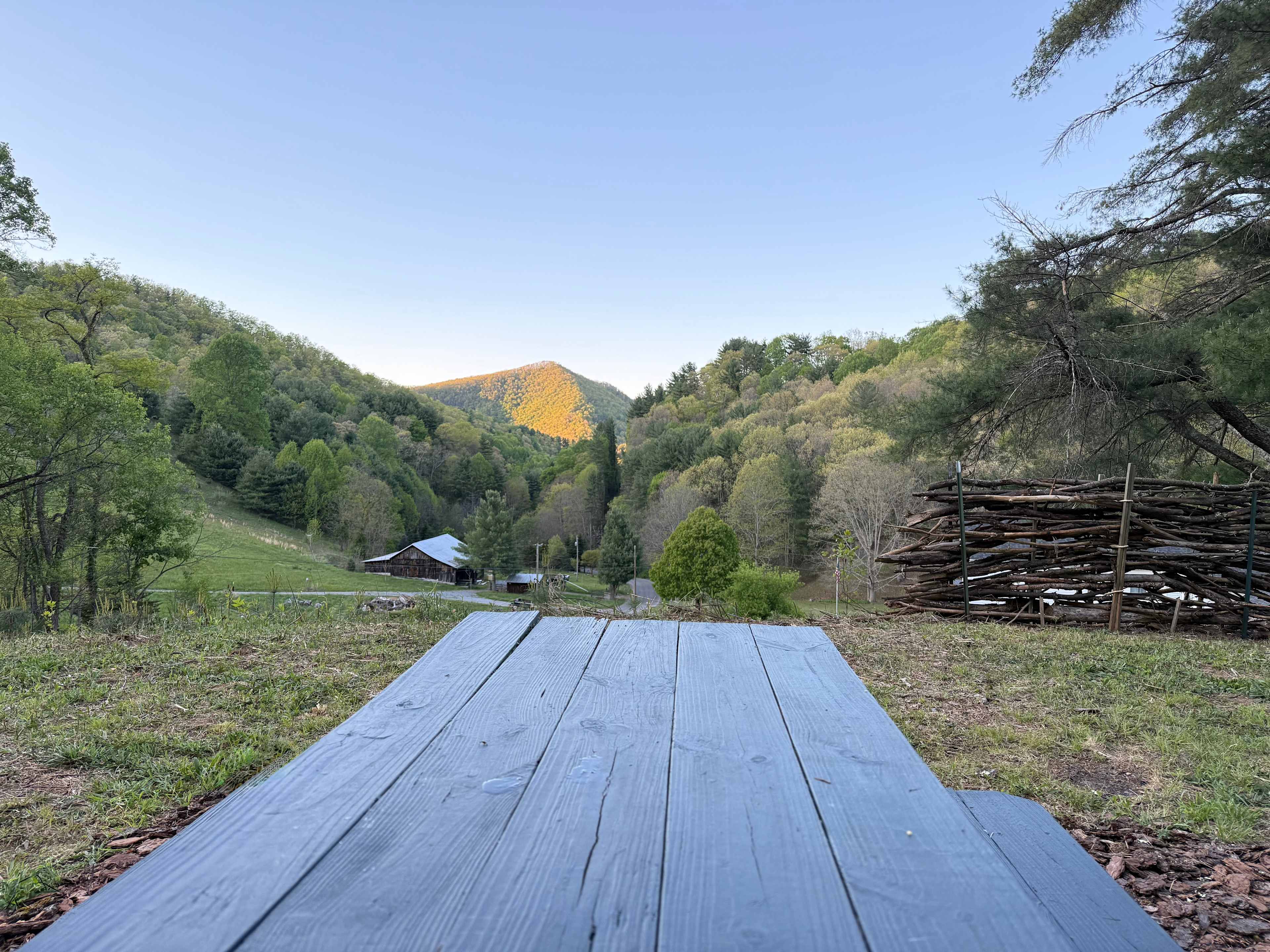 Picture of the site