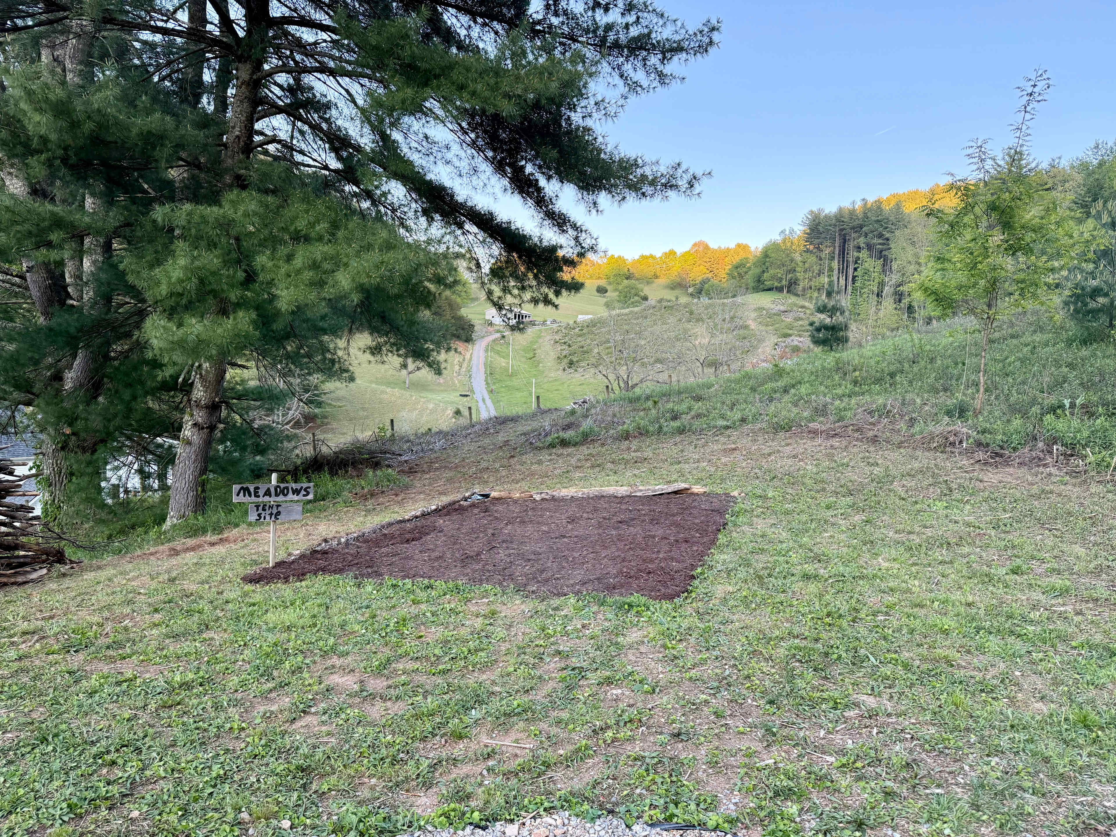 Picture of the site