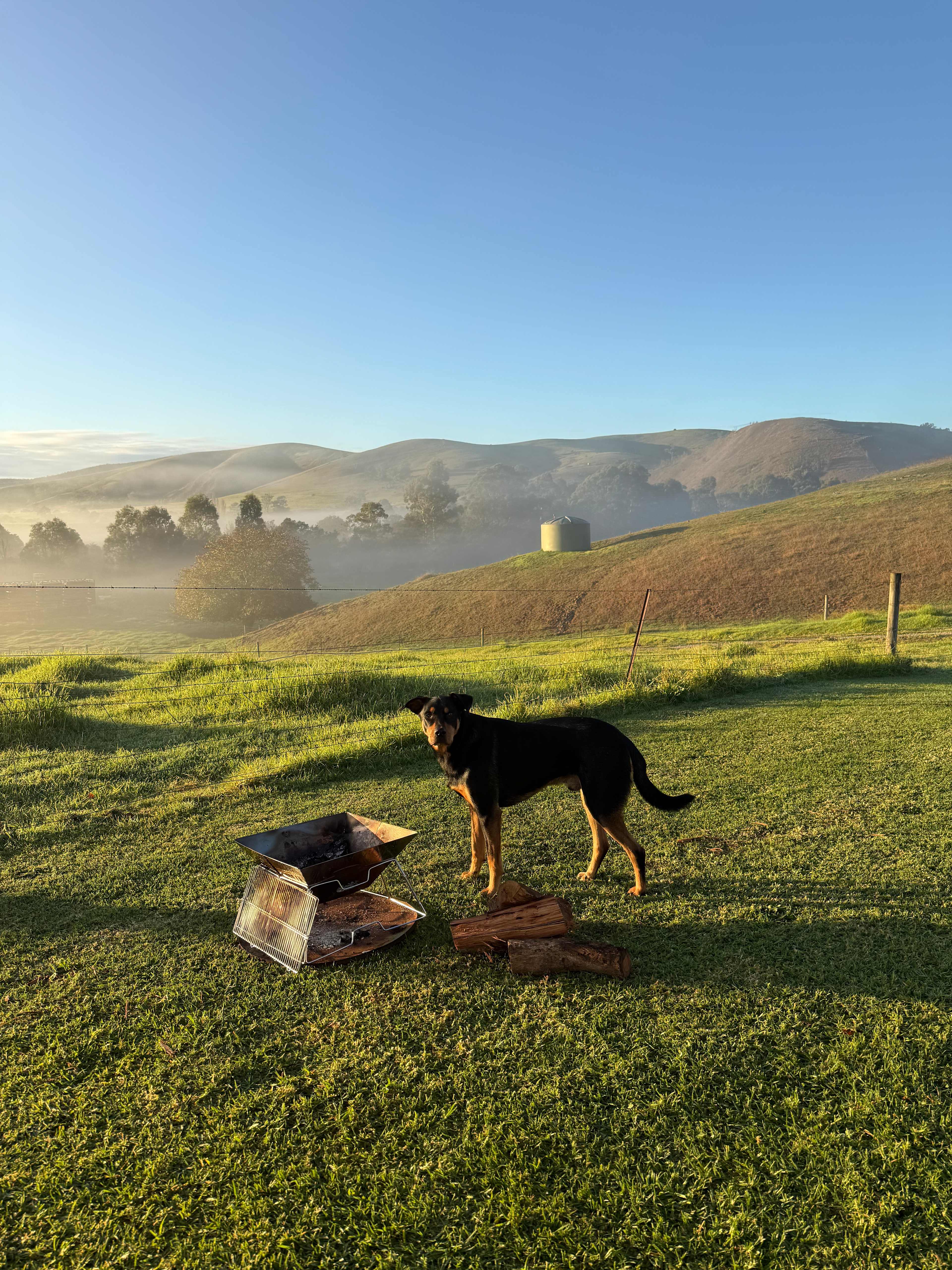 Grandview Sanctuary